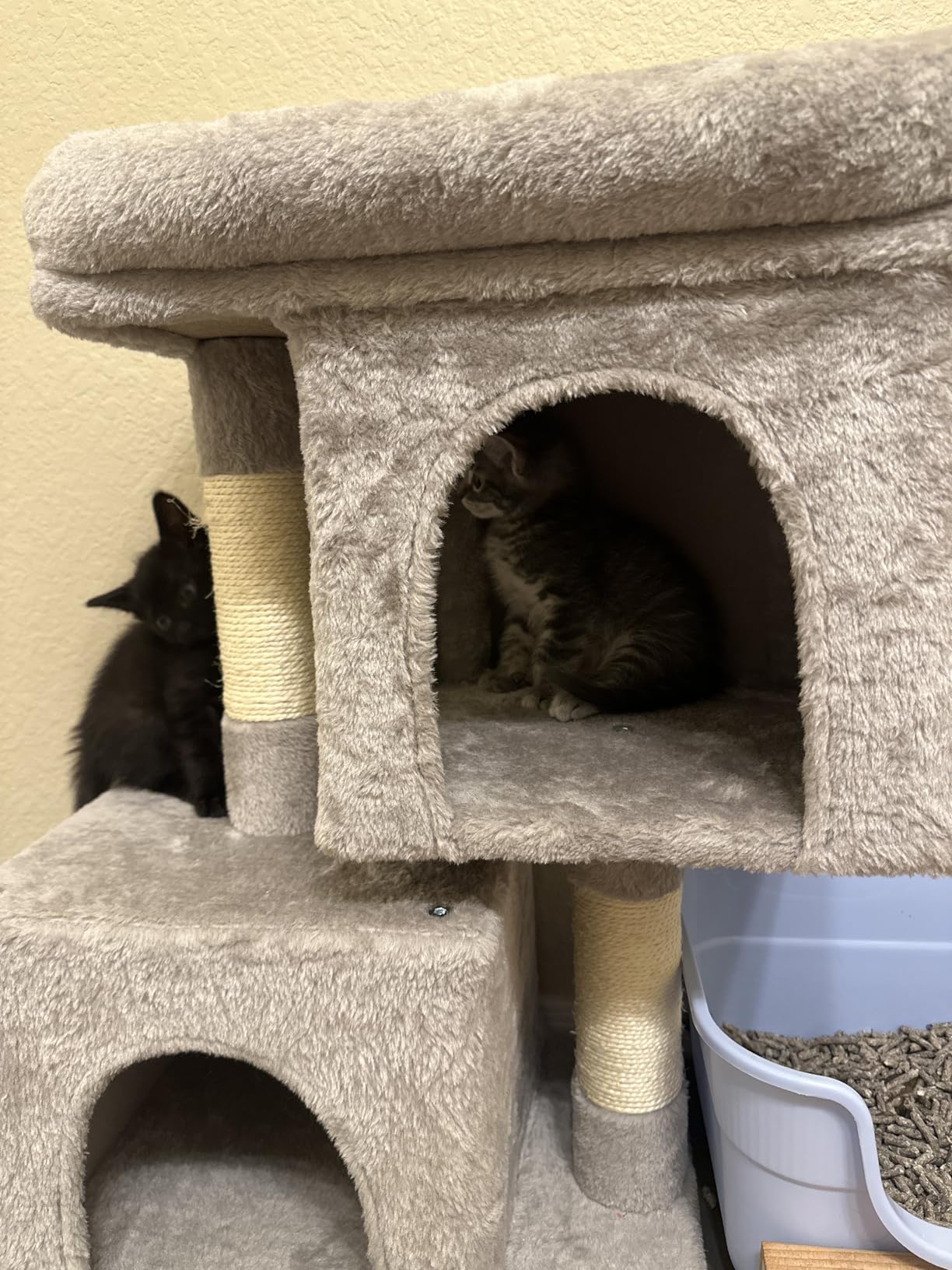 Feandrea Cat Tree, 26.4-Inch Small Cat Tower, Cute Plush Condo, Light Gray customer photo 1