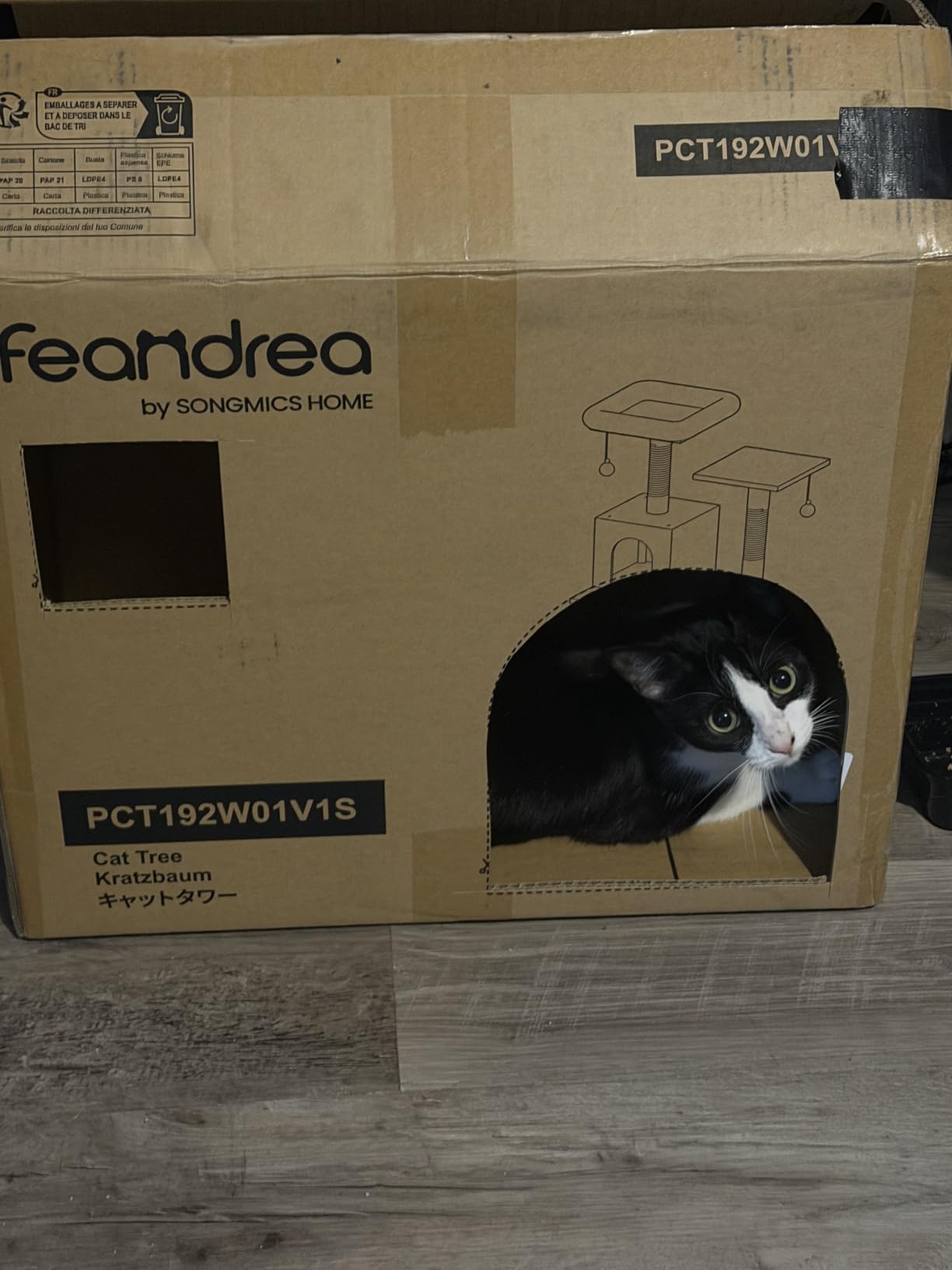 Feandrea Cat Tree, 59.5-Inch Tall Cat Tower, Multi-Level Condo, Beige customer photo 2