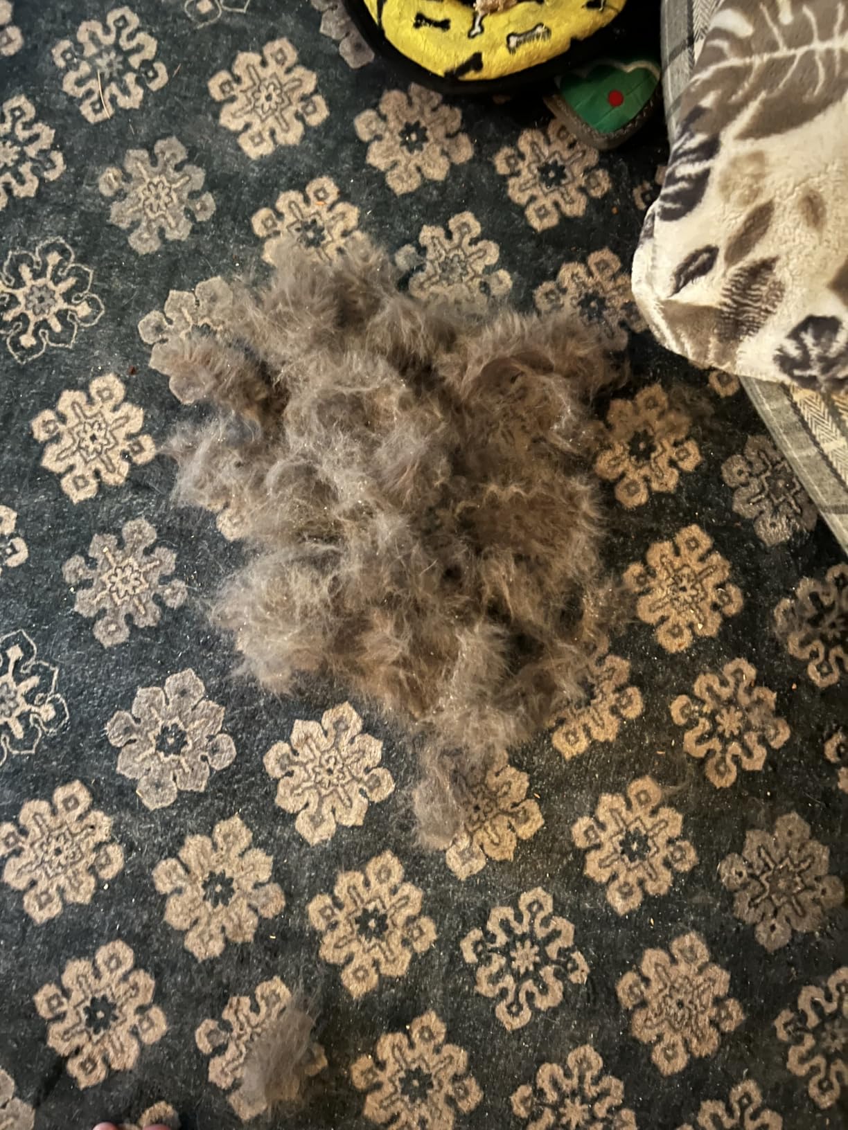aumuca Undercoat Rake for Dogs, Deshedding & Dematting Comb for Cats, Horse customer photo 2