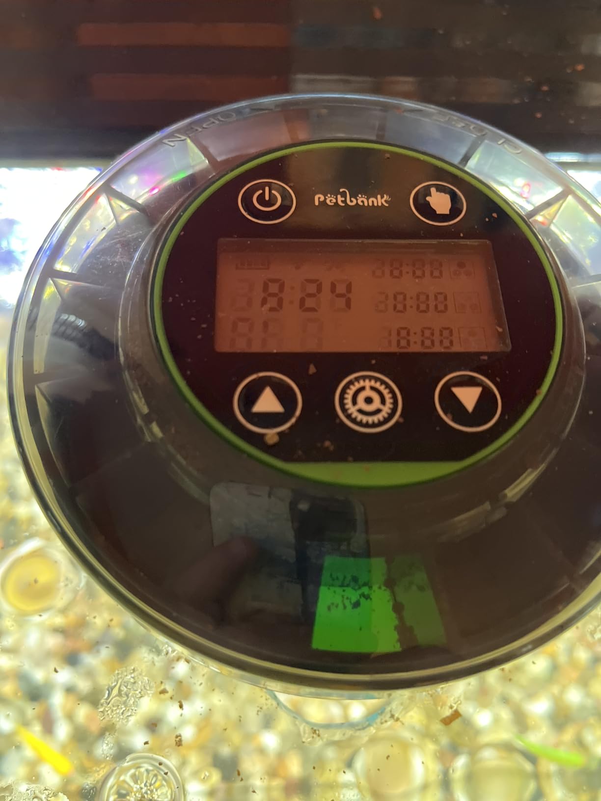 Automatic Fish Feeder for Aquarium Portion Control & Moisture-Proof customer photo 2