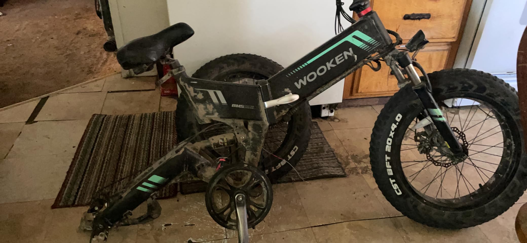 Wooken Electric Bike, 20''X4.0 Fat Tire Electric Bike for Adults customer photo 2
