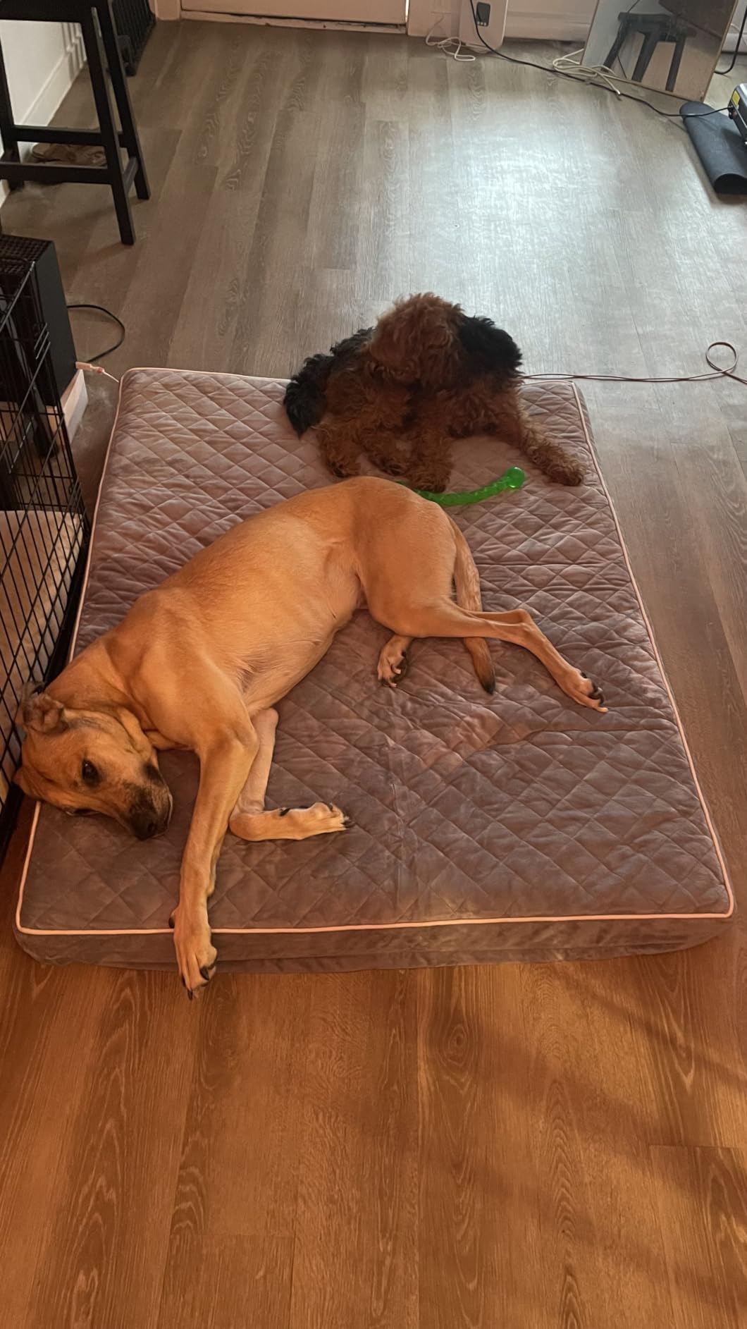WNPETHOME Orthopedic Waterproof Extra Large Senior Dogs Bed for Comfy Sleep customer photo 2