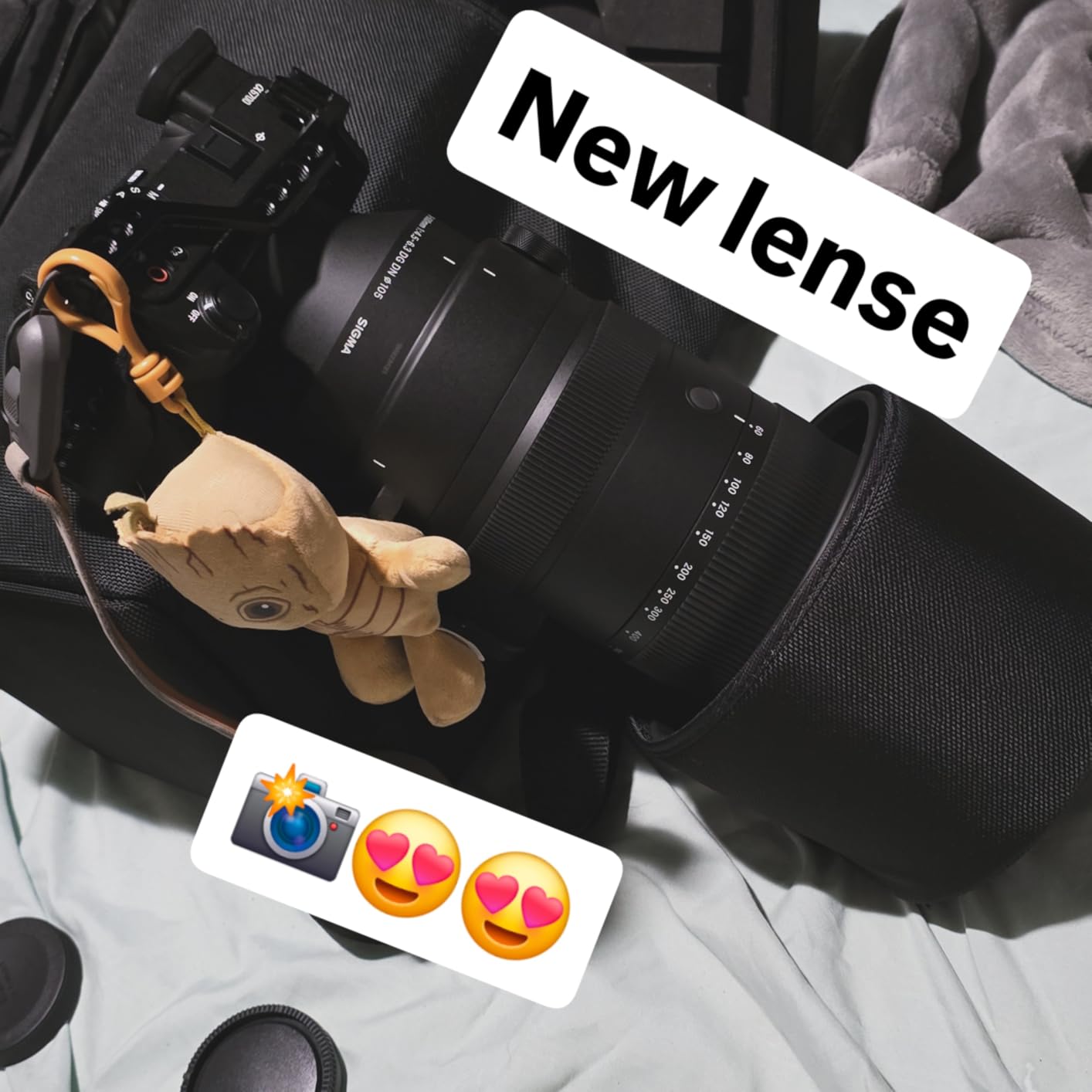 Sigma 60-600mm F4.5-6.3 DG DN OS Sports Lens for Sony E Mount customer photo 1