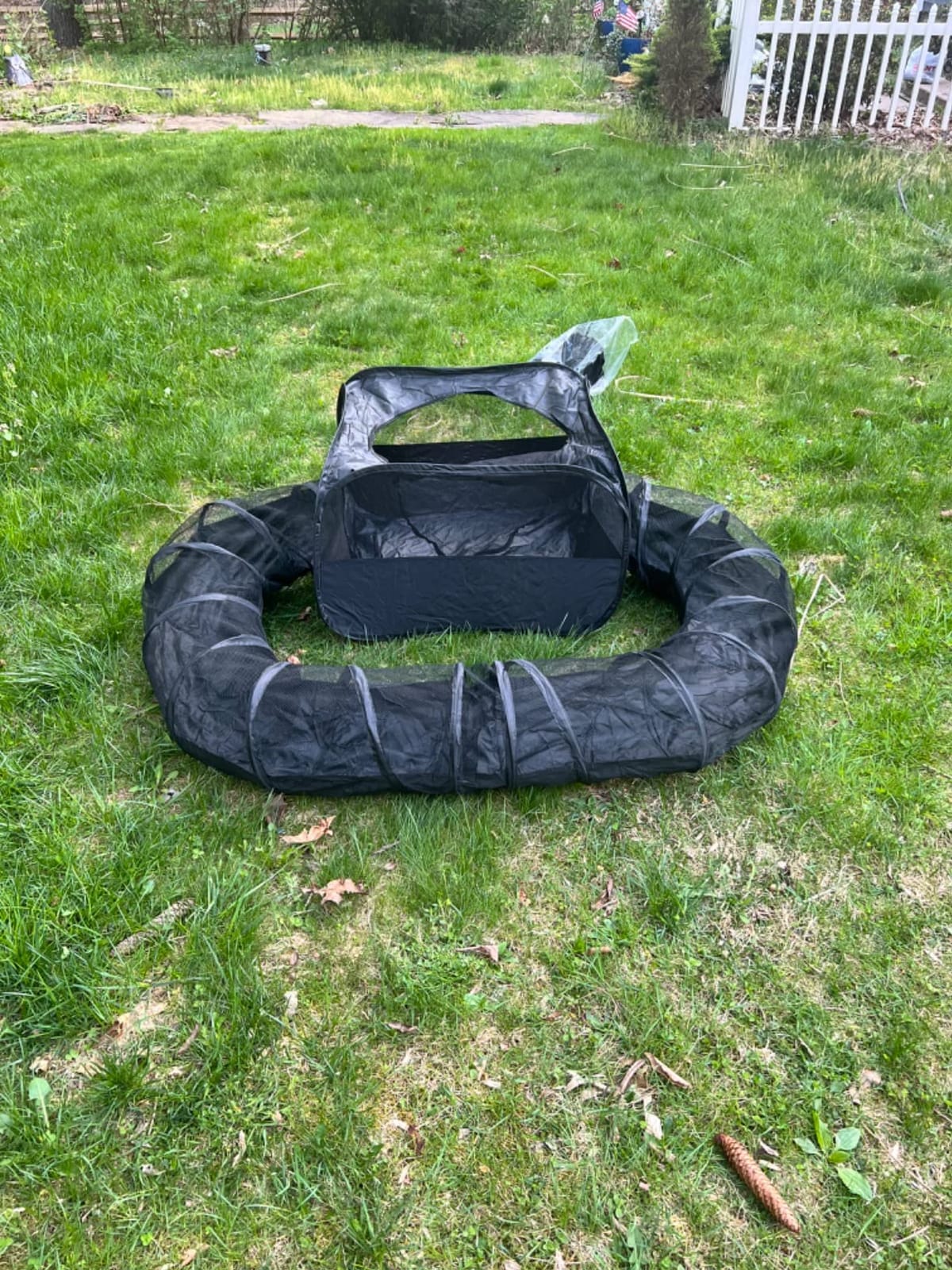 Guinea Pigs Playpen with Surround Tunnel to Run & Exercise Indoor/Outdoor customer photo 2