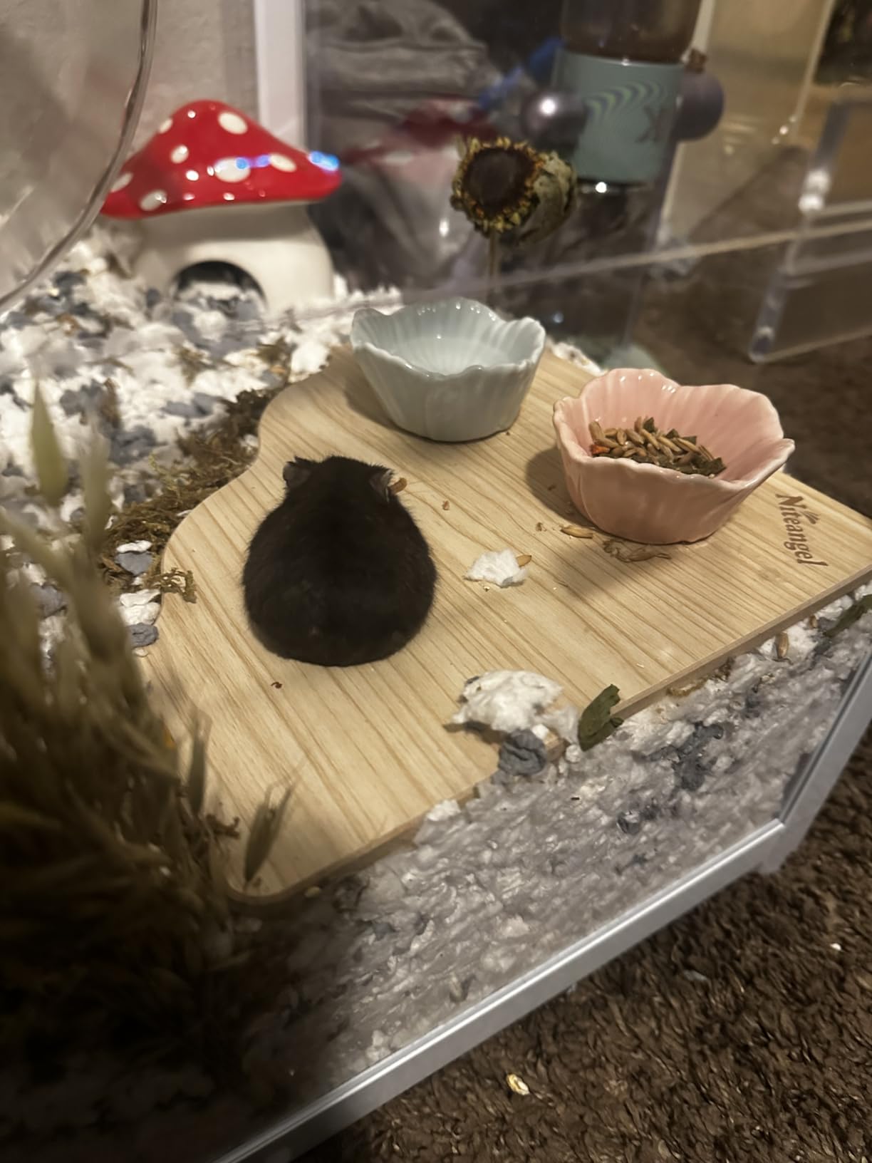 BUCATSTATE Hamster Cage 2.0, Large Hamster Enclosure (39in, White) customer photo 2