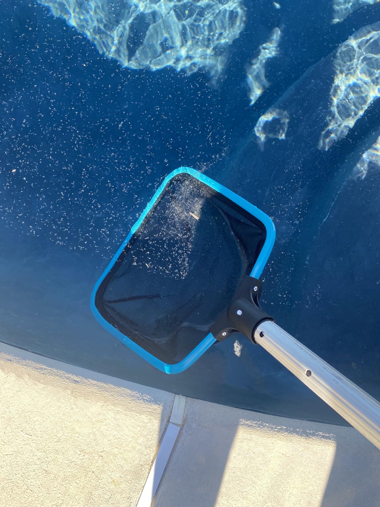 Sepetrel 4-Piece Pool Cleaning Kit with Curved Brush, No Pole customer photo 1