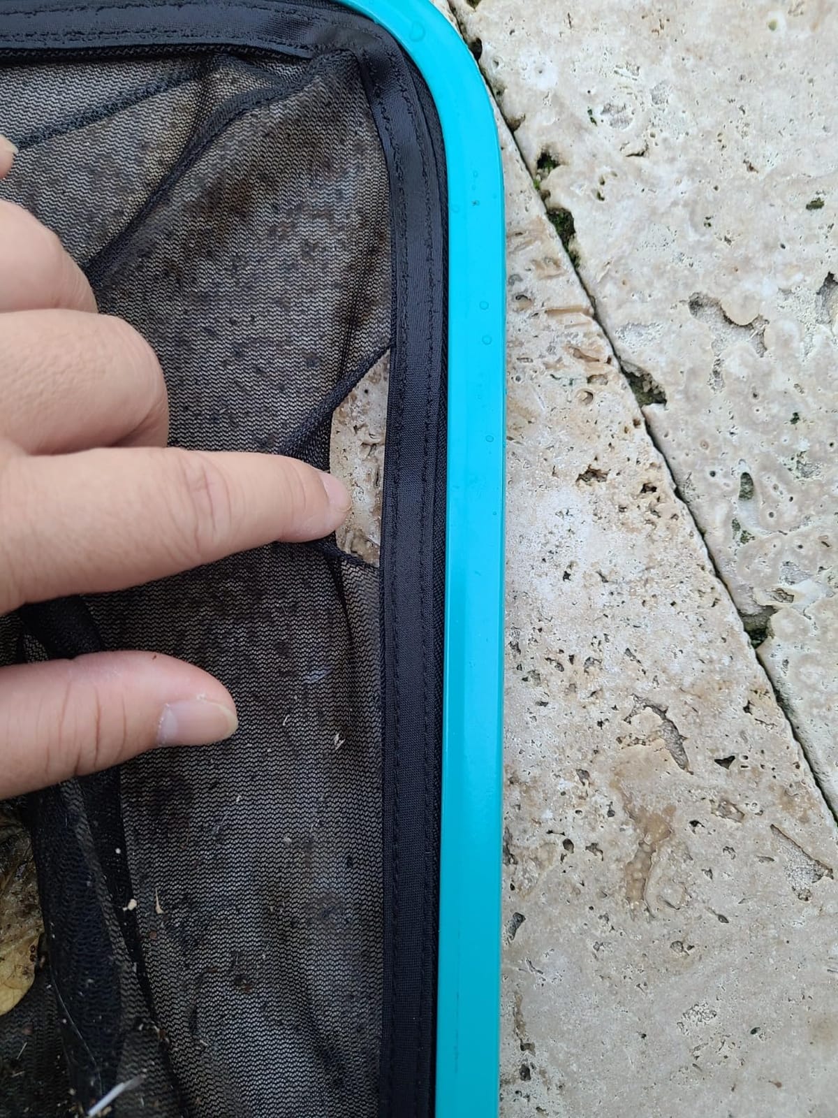 Sepetrel 4-Piece Pool Cleaning Kit with Curved Brush, No Pole customer photo 2