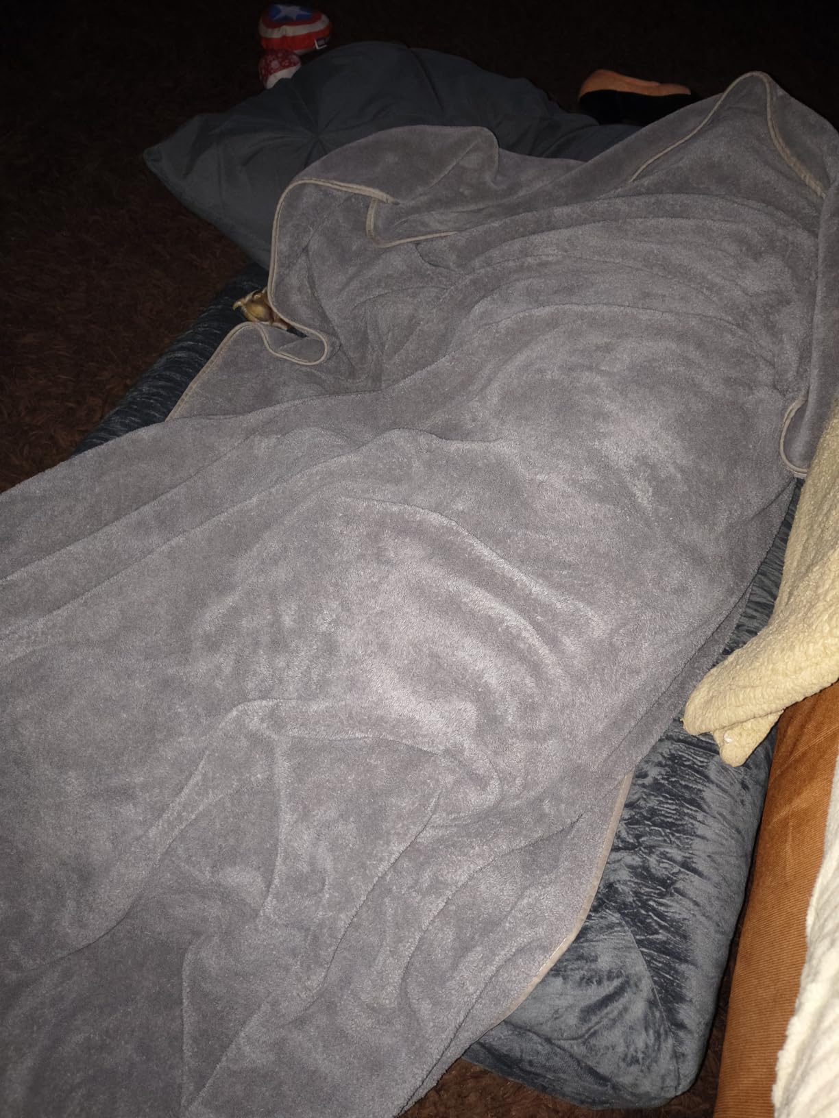 WNPETHOME XXXL Big Large Orthopedic for Senior Dog Bed Comfy Sleeping customer photo 2