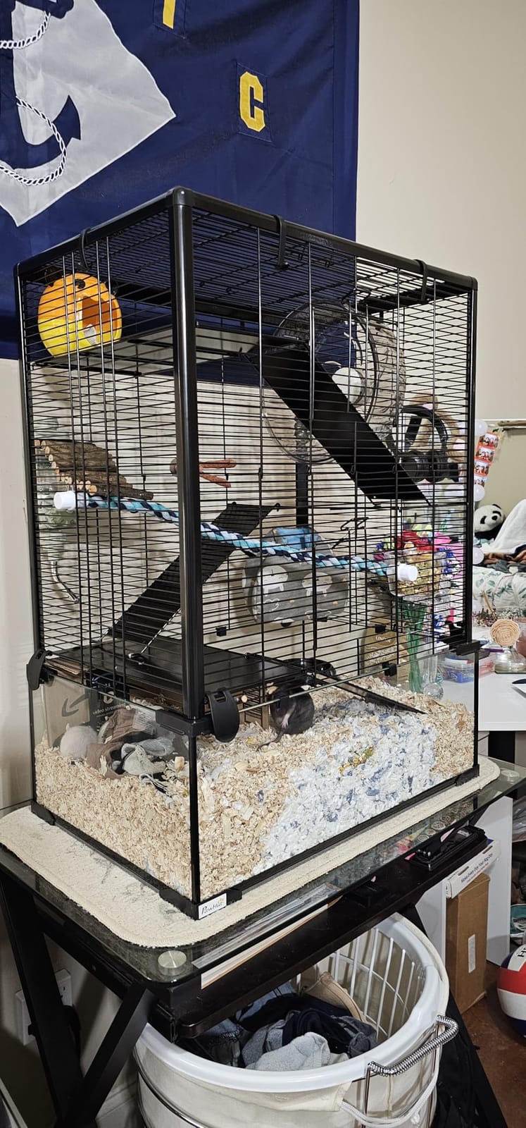 PawHut Large Hamster Cage with Deep Tempered Glass Bottom, 3 Tiers Hamster Tank with Running Wheel, Hut, Water Bottle, Dish, Rat Cage for Syrian, Dwarf, Gerbils, Mouse, 23.5