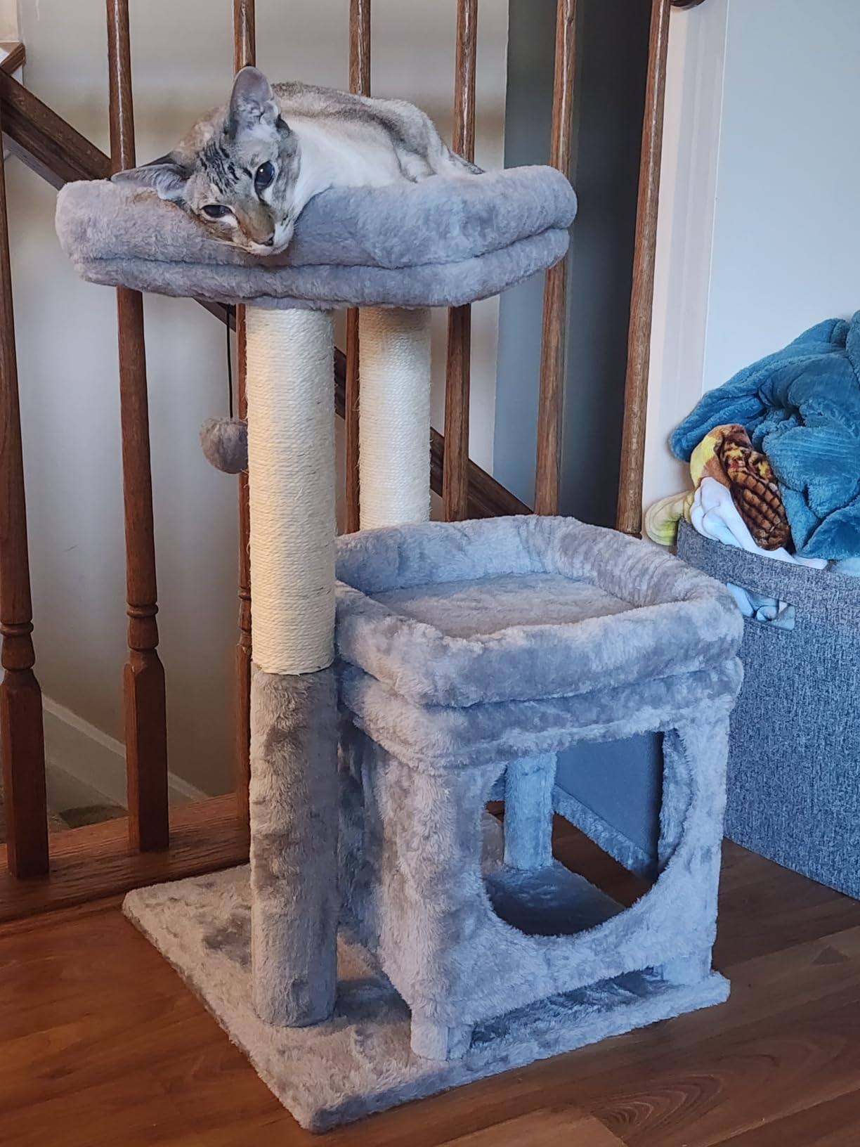 PEQULTI 4-in-1 Cactus Cat Tree for Kittens & Small Cats, 33in Green Tower customer photo 1