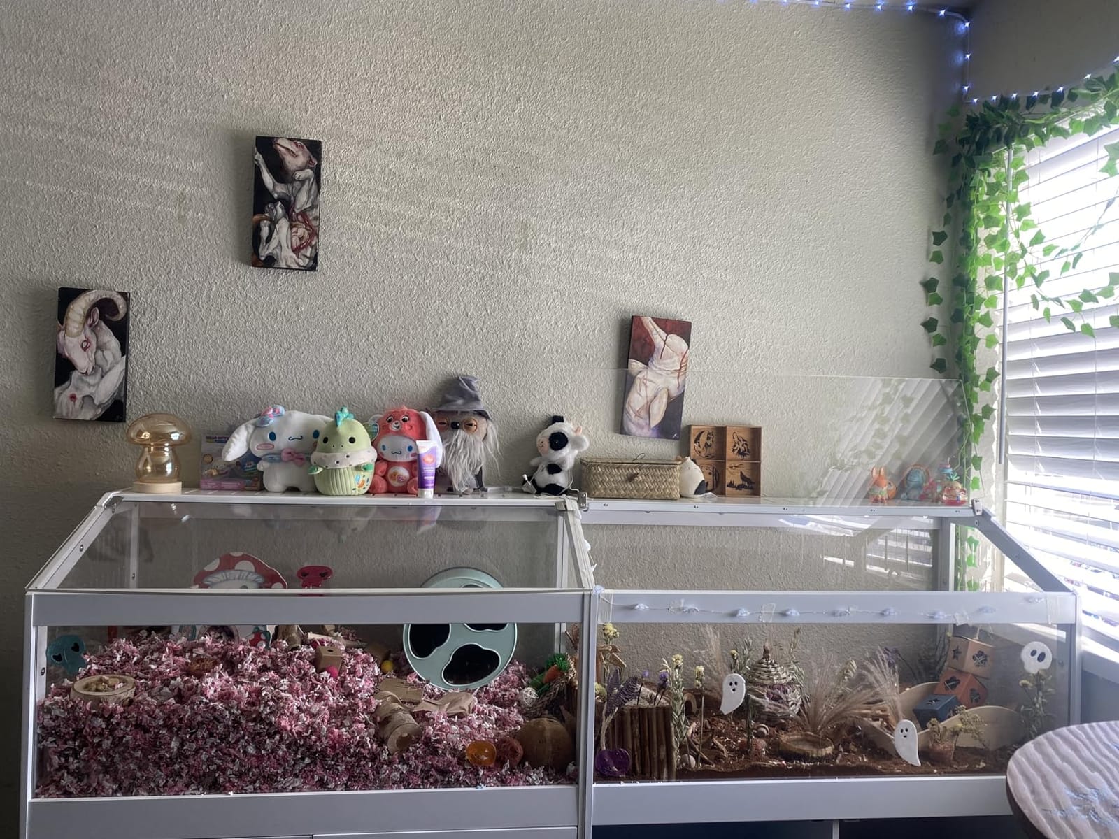 GDLF Hamster Cage with Acrylic Panels and Storage, 39.5 x 19.7 Inch customer photo 1