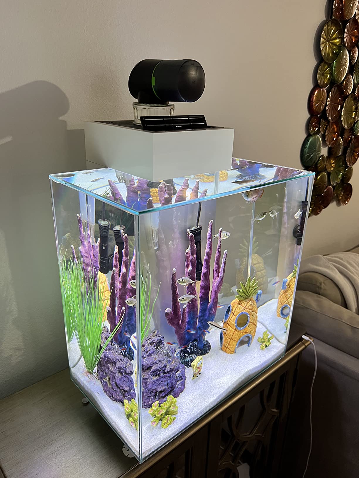 Automatic Fish Feeder for Aquarium Easy Setup & 4 Timers Black customer photo 2