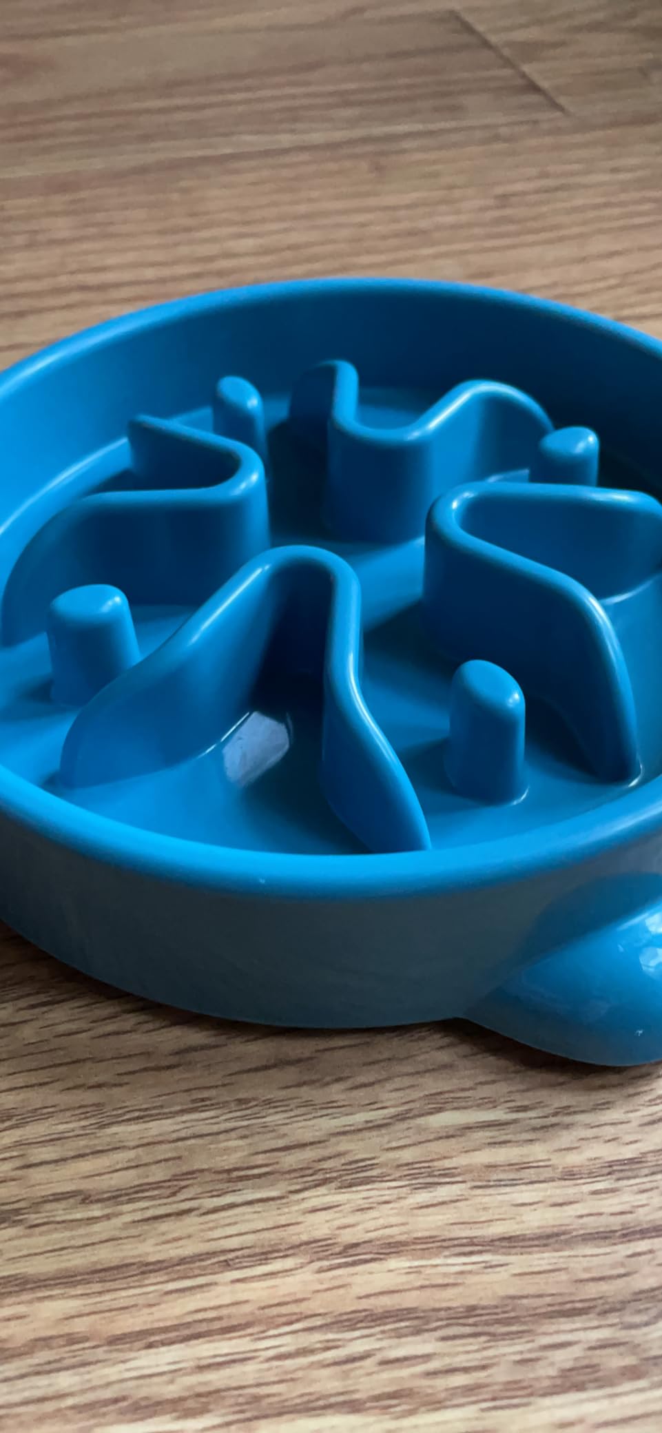 Slow Feeder Dog Bowls Small Breed, Dog Food Bowl Small Anti-Choking Bloat Stop Puzzle Healthy Eating Bowl (Blue, 1 Cup) customer photo 1