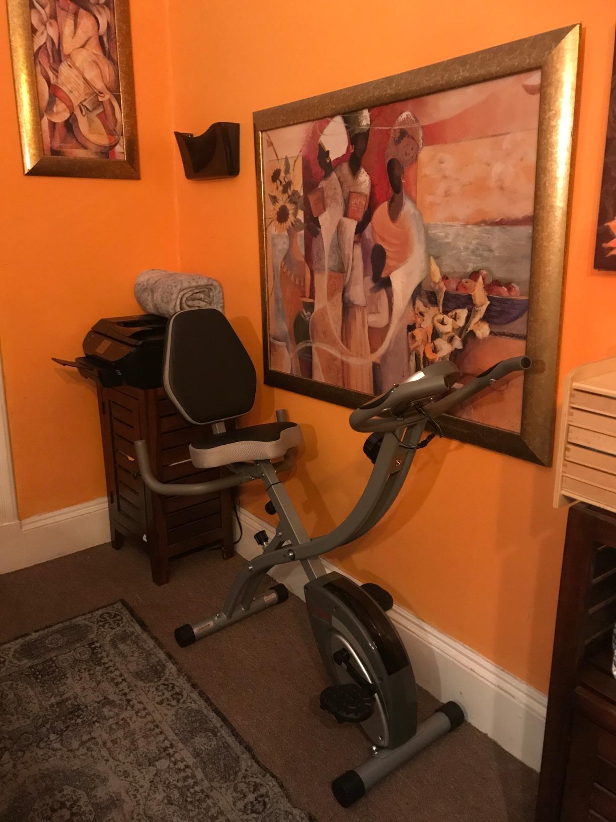 Sunny Health & Fitness Smart Foldable Magnetic X-Bike, Low-Impact Workouts | Compact Design for Homegym, Indoor Cycling, Free SunnyFit App Connectivity, 14-Lvl Magnetic Resistance, Adjustable Seat customer photo 1