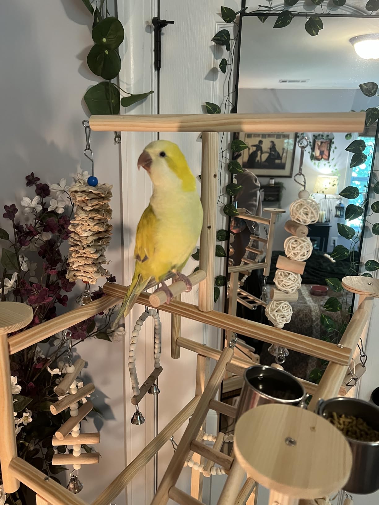 LIMIO Bird Playground - Natural Wood Parrot Playstand with Perches, Bird Play Gym & Accessories, Removable Tray & 4 Stainless Steel Cups customer photo 2