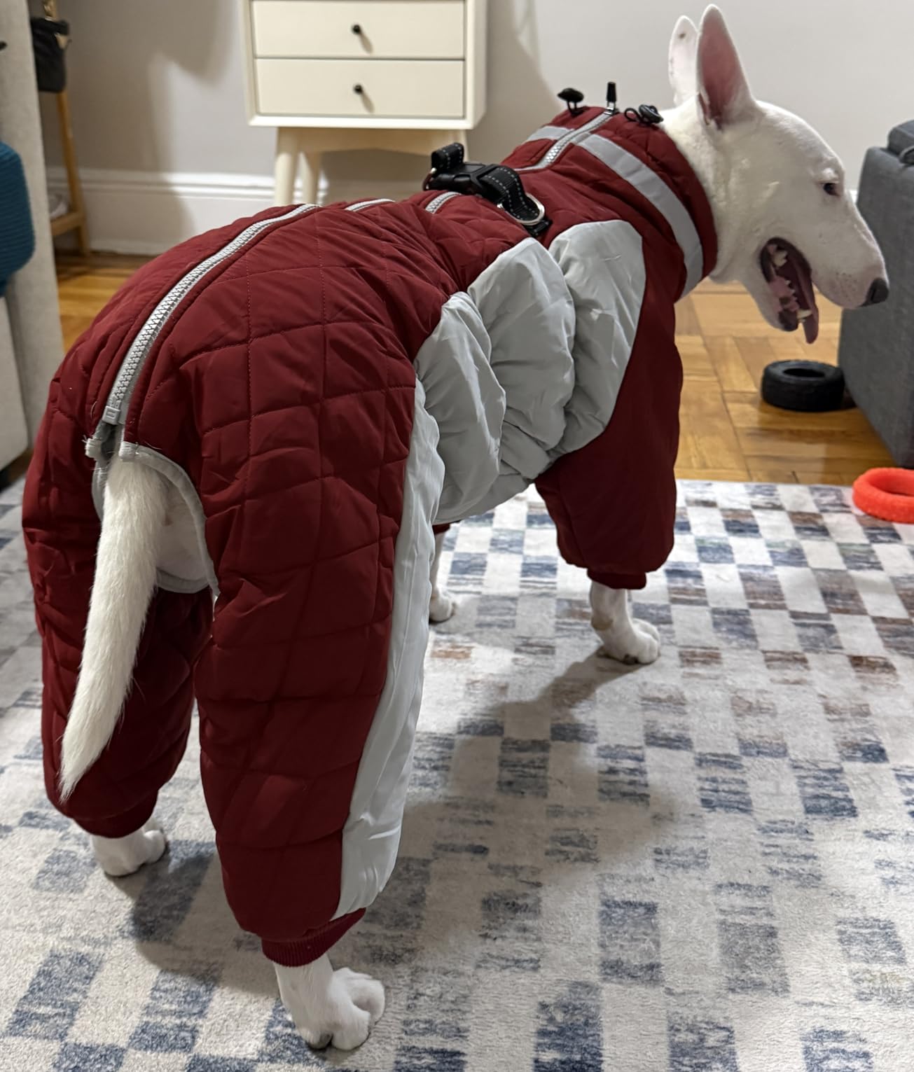 AOFITEE Fullbody Dog Coat Warm Fleece Dog Jacket, Windproof Dogs Winter Coat with Harness Built in, Reflective Turtleneck Dogs Snowsuit Puffer Jacket, Four Legged Pet Snow Suit, Christmas Red M customer photo 1