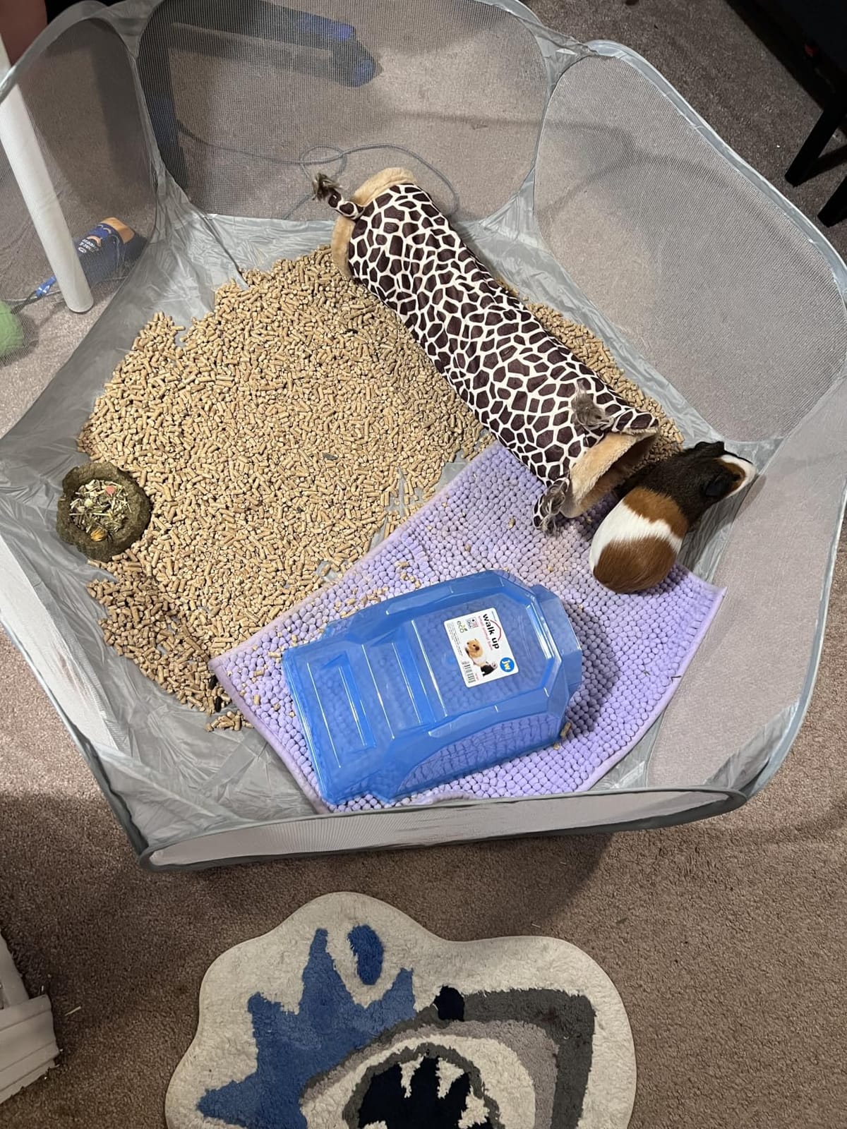 Small Animals Playpen, Portable Pop-up Open Interactive Pet Tent, Indoor Outdoor Fence for Rabbits, Guinea Pig, Hamster, Chinchillas, Kittens, Puppies customer photo 2