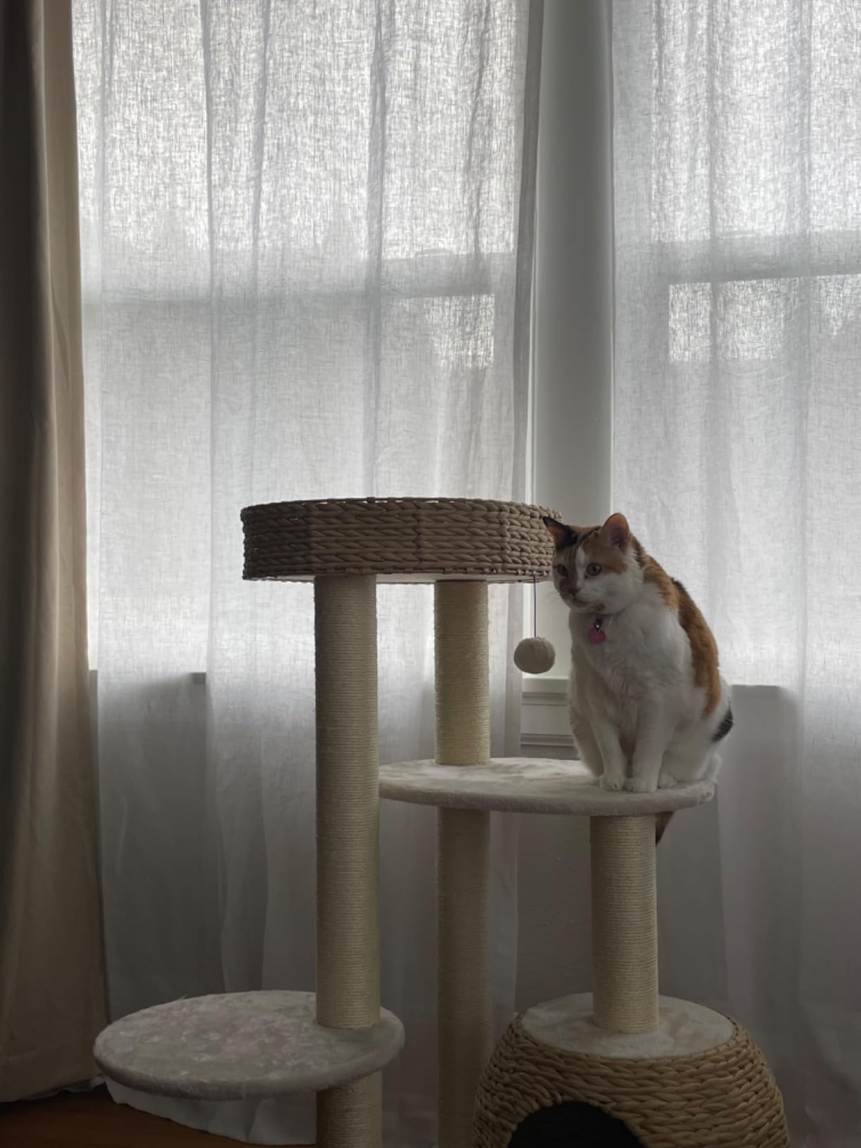 KAMABOKO Modern Cat Tree, Hand-Woven Condo & Top Perch,cat Houses & Condos customer photo 2