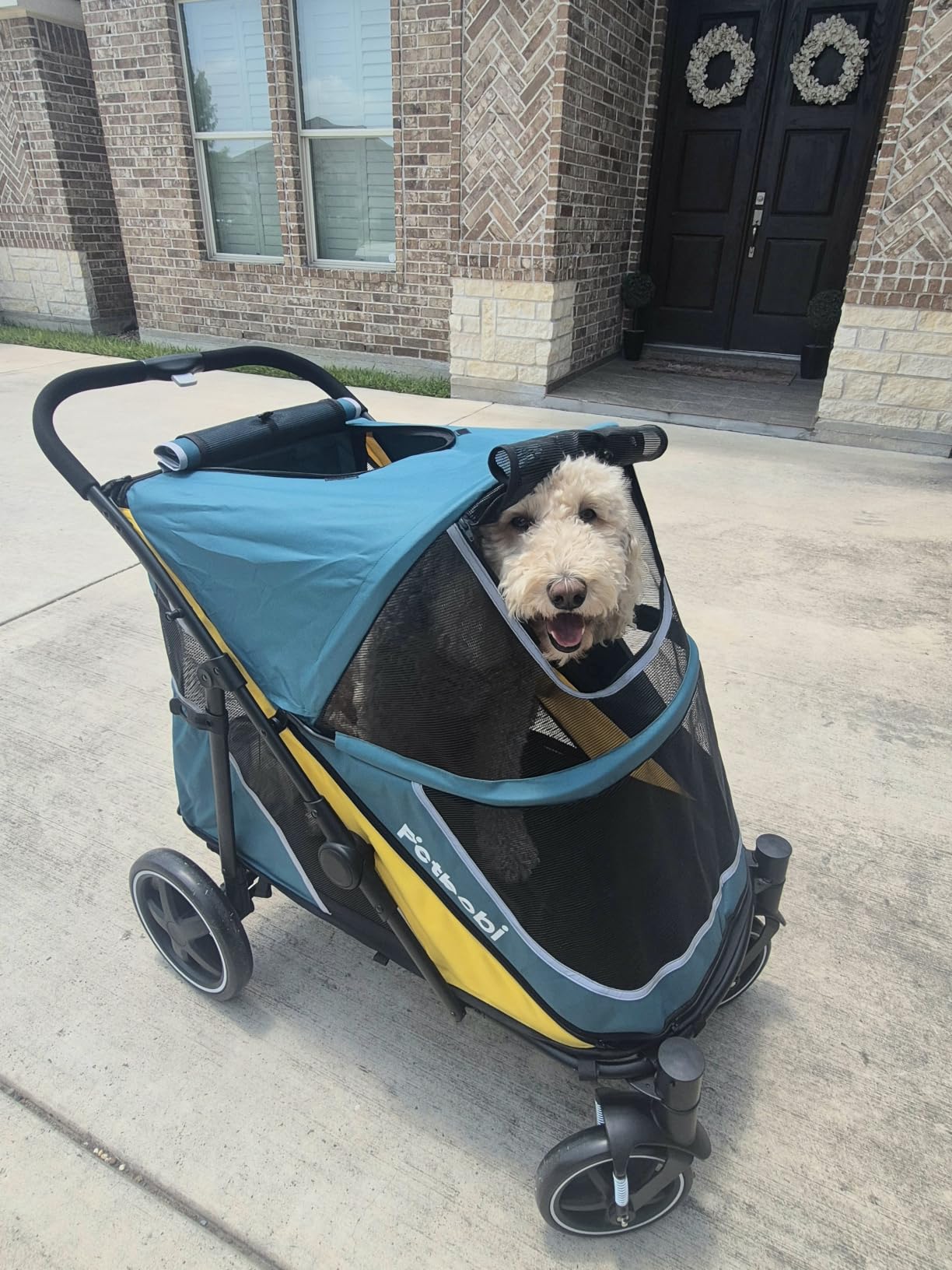 Petbobi Dog Stroller for Large Medium Dogs up to 80 lbs, Dual Entry customer photo 1