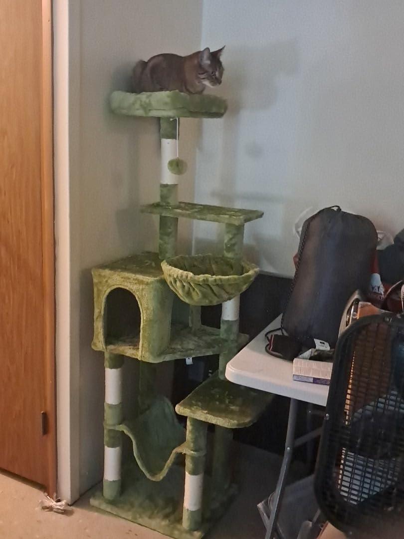 Hey-brother Cat Tree, Multi-Level Sisal Covered Scratching Posts, MPJ050W customer photo 1