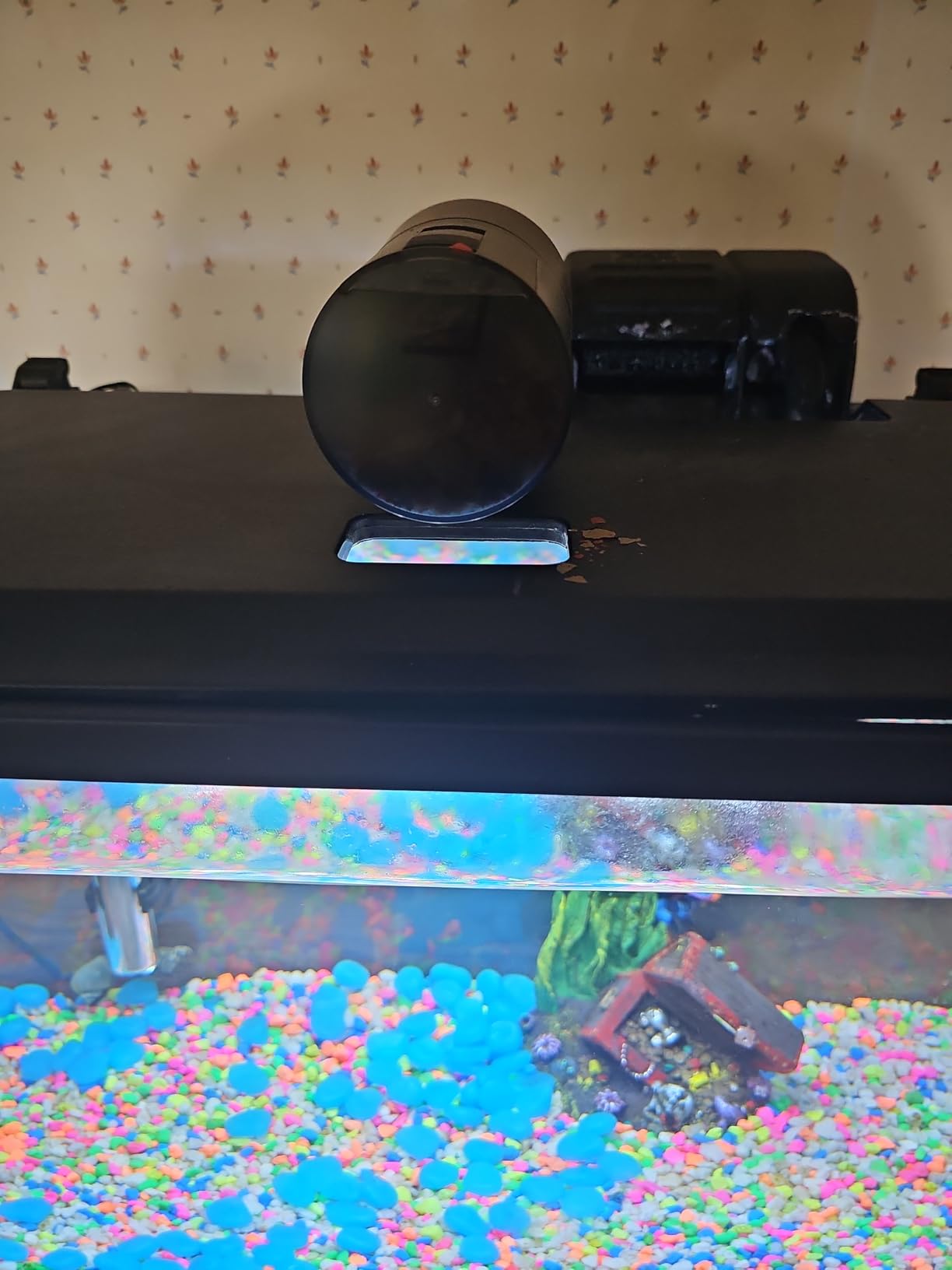 Automatic Fish Feeder for Aquarium Easy Setup & 12/24/48H Interval customer photo 1