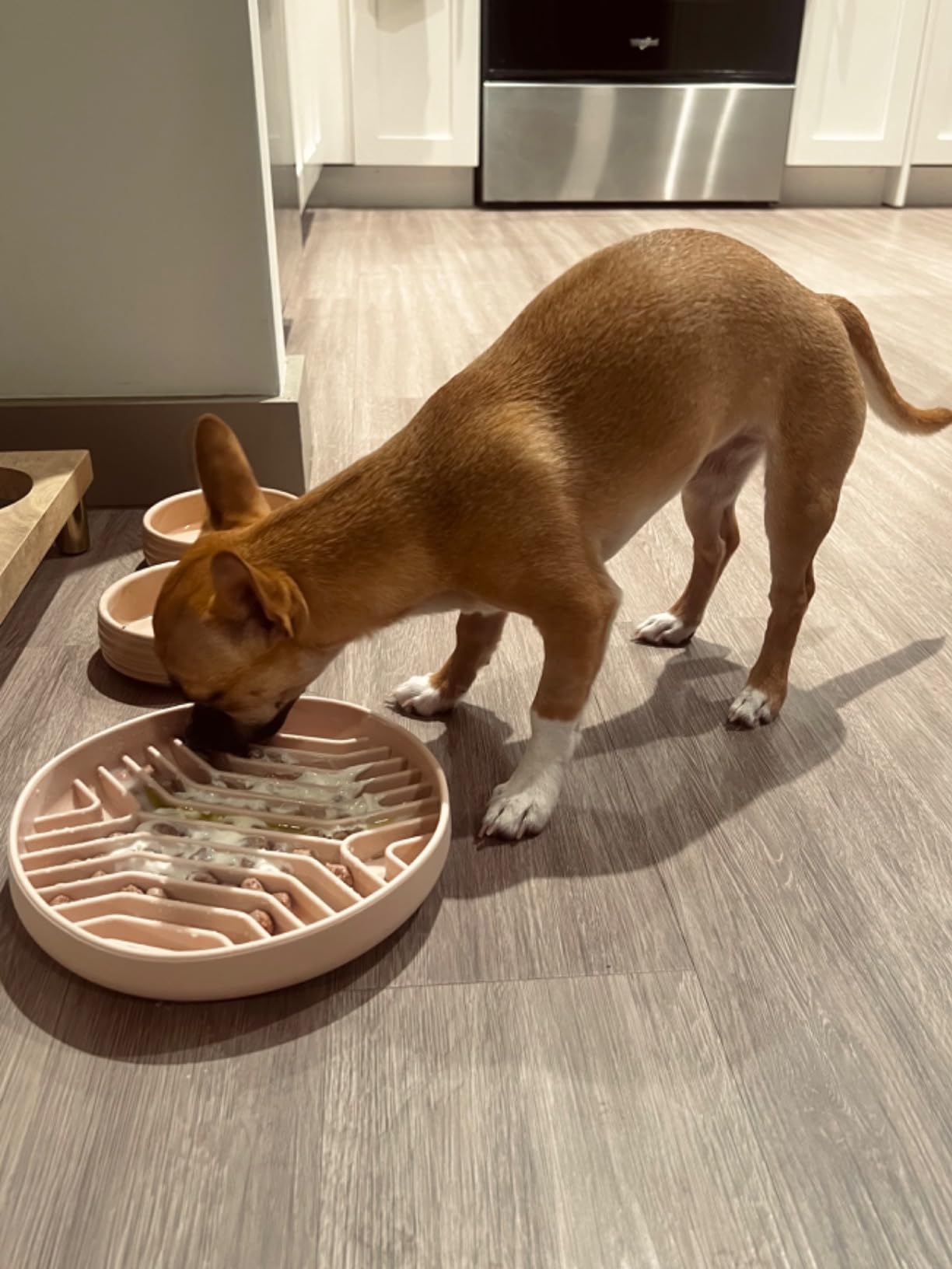 Silicone Slow Feeder Dog Bowls, Puzzle Design with Suction Cups (Green) customer photo 2