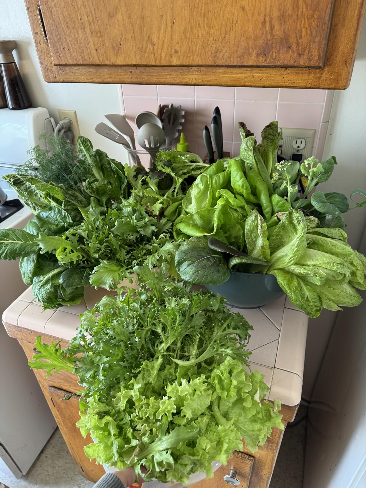 Lettuce Grow Farmstand Nook | 4ft 7in Vertical Hydroponic Garden Tower customer photo 1