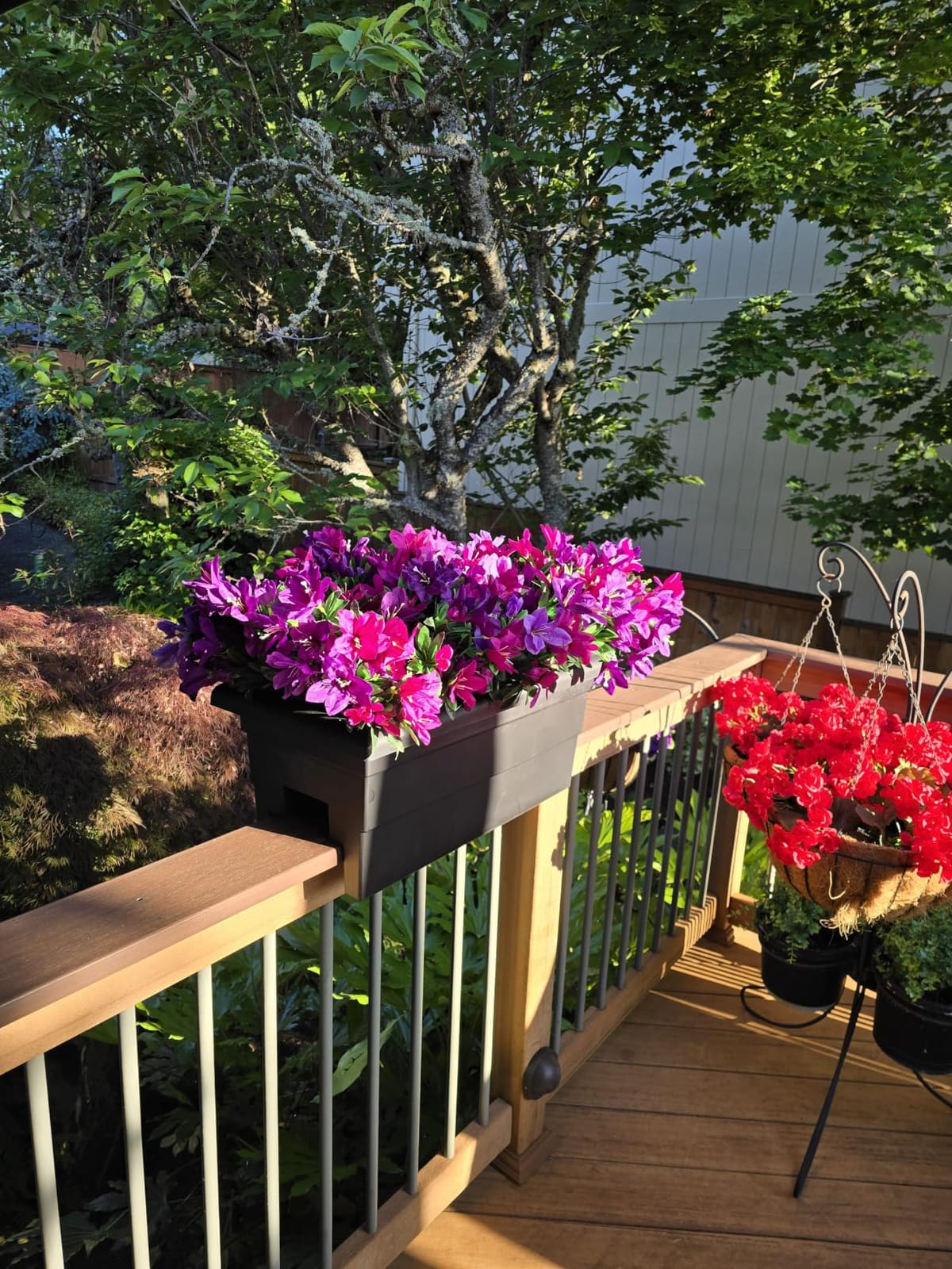 Root & Vessel Countryside Railing Planter Box, 24 Inch, Black customer photo 1