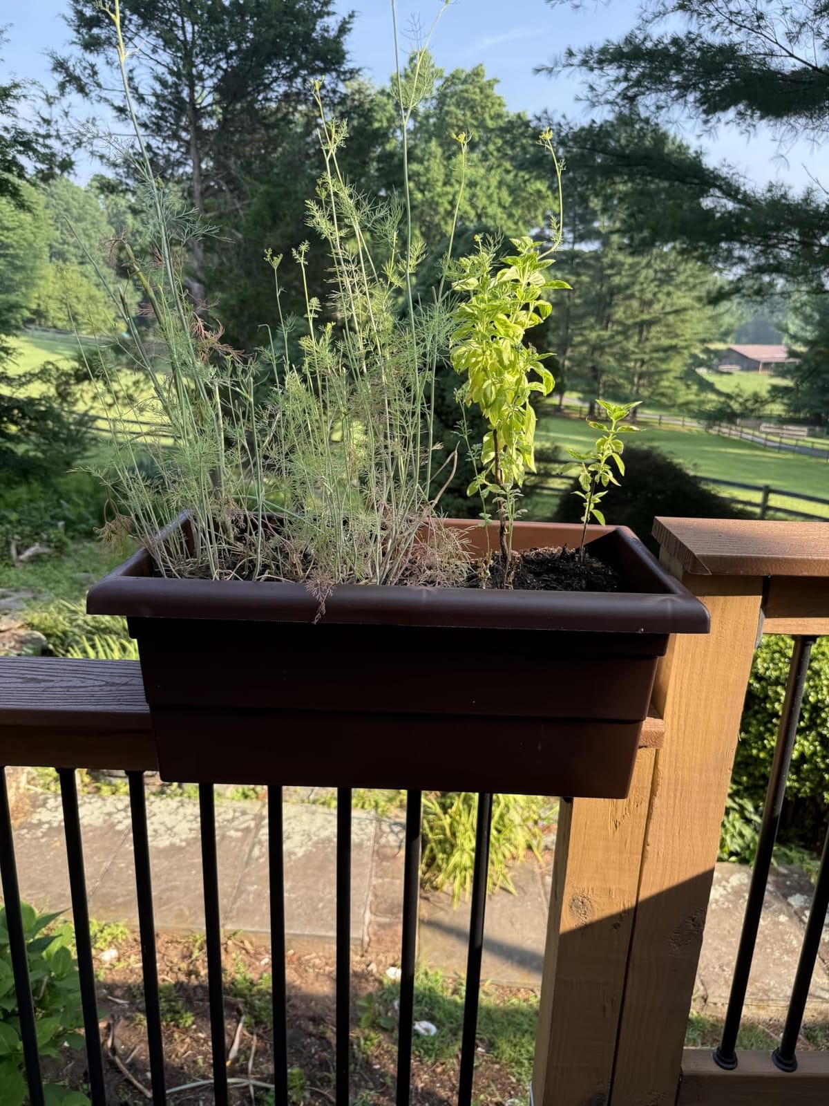 Root & Vessel Countryside Railing Planter Box, 24 Inch, Black customer photo 2