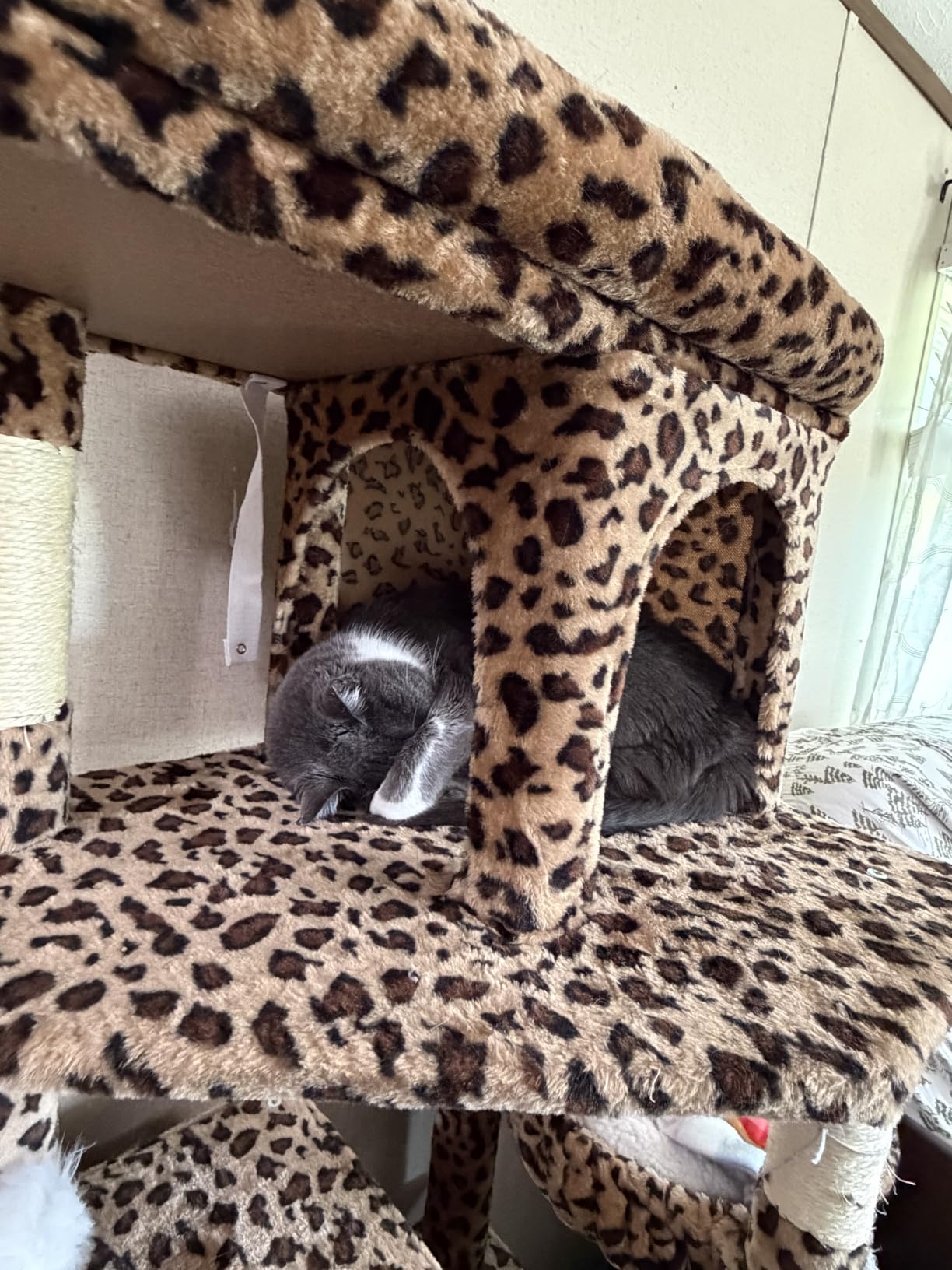 Globlazer S72 Heavy Duty Cat Trees for Large Cats 20 lbs+, Light Grey customer photo 1