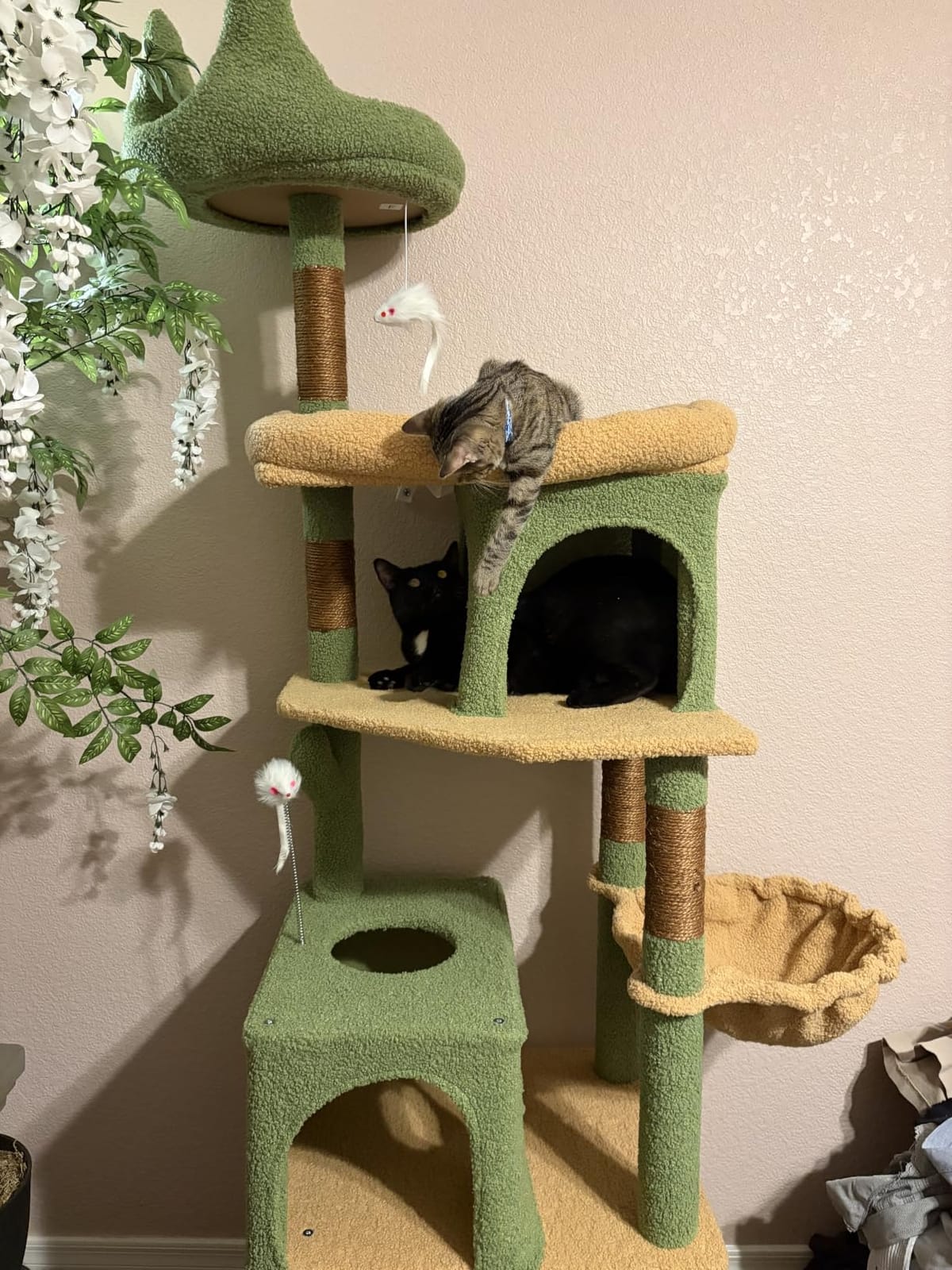 Globlazer S72 Heavy Duty Cat Trees for Large Cats 20 lbs+, Light Grey customer photo 2