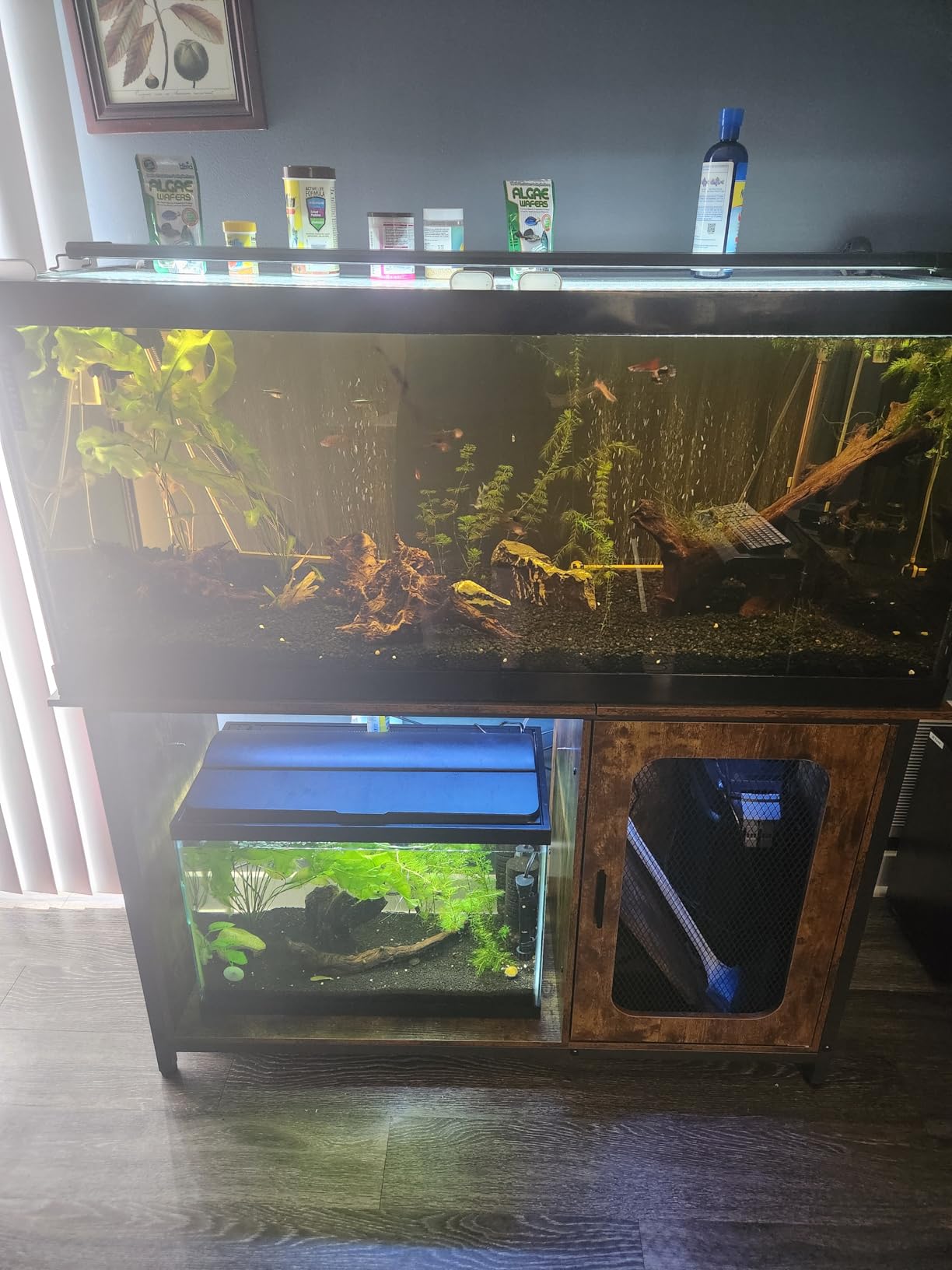 Unikito 55-75 Gallon Aquarium Stand with Power Outlets & LED Light, Black customer photo 1
