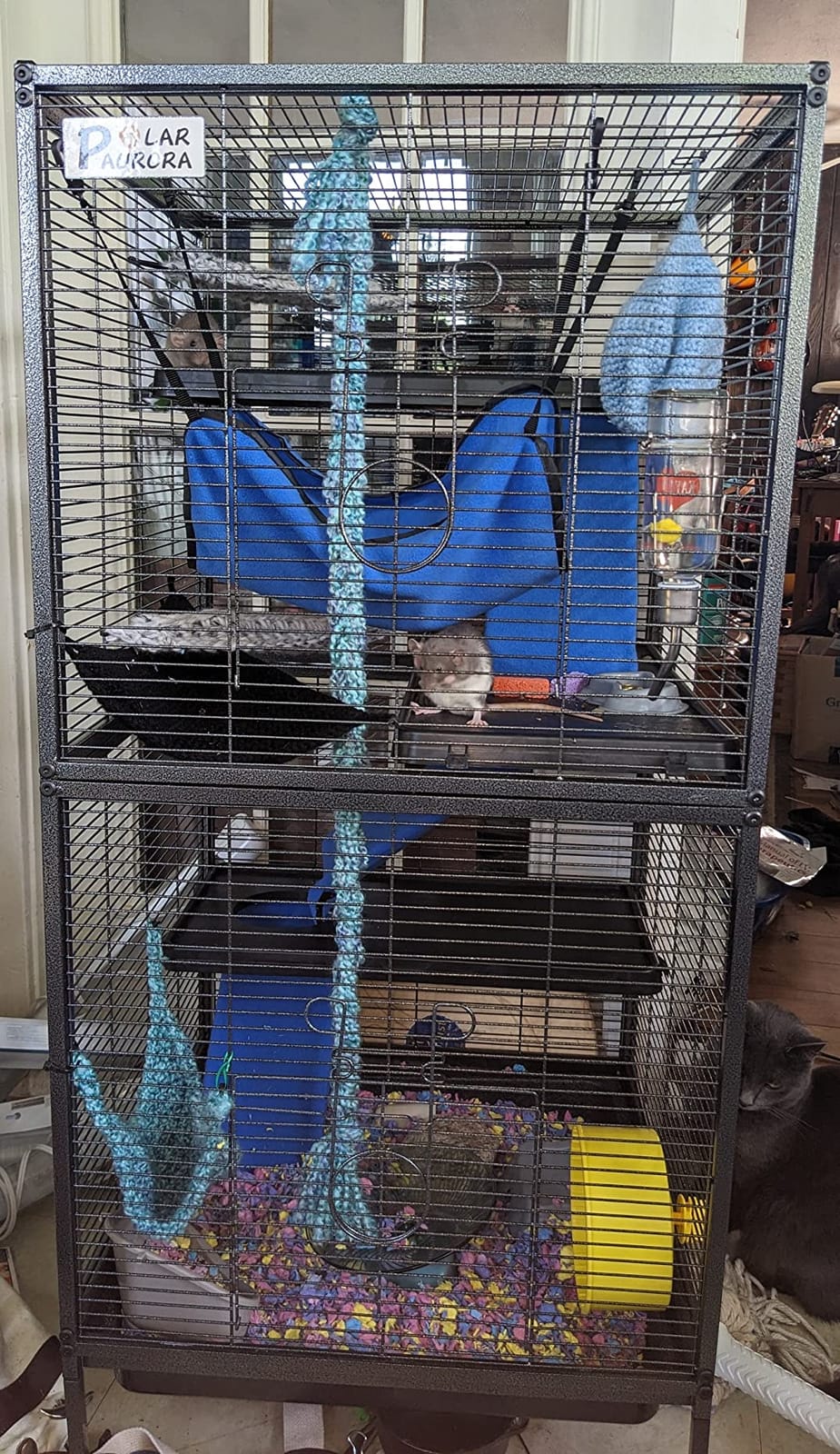Polar Aurora Metal Small Animal Cage, 59