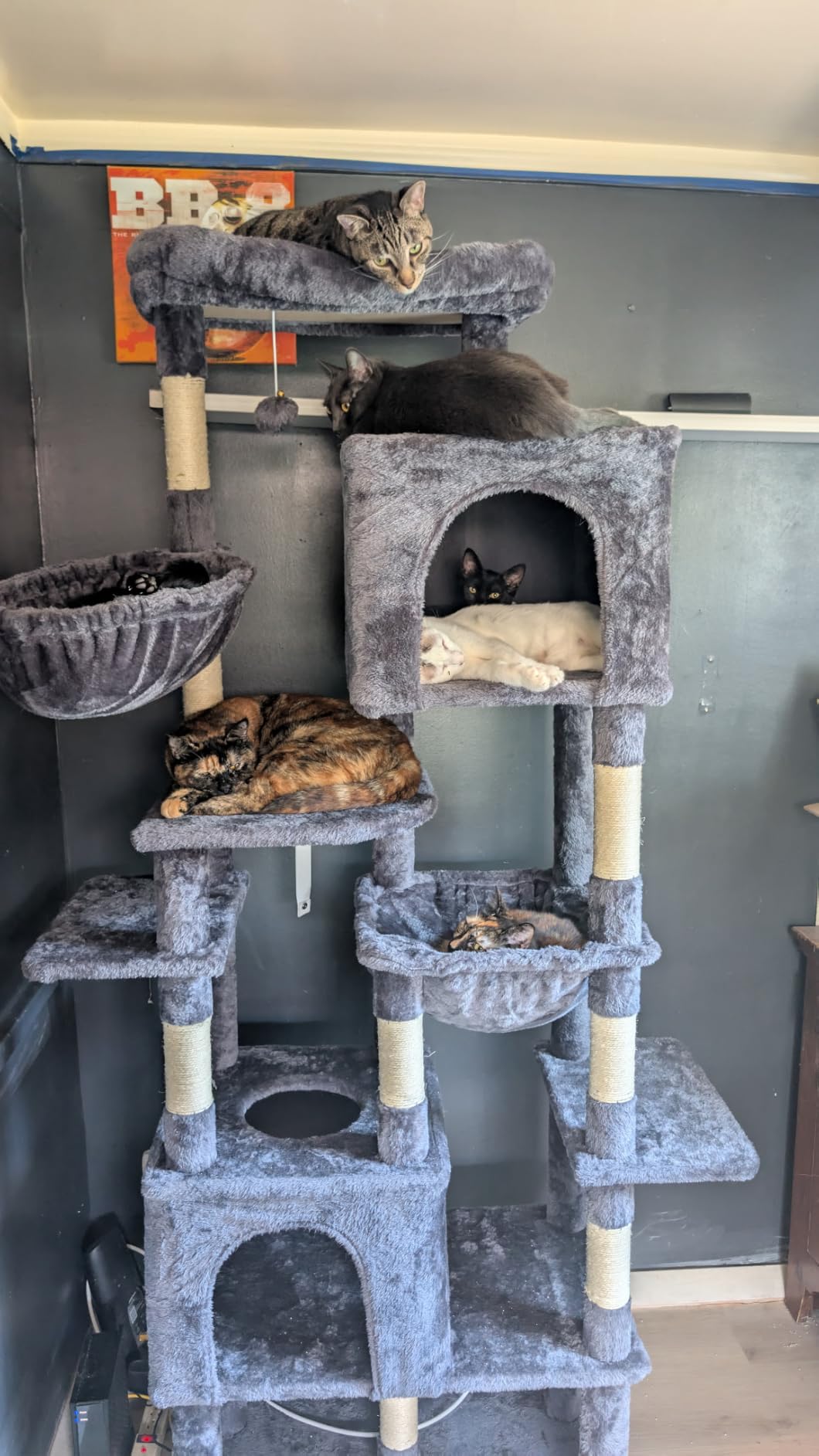 Heybly Cat Tree for Large Cats, 20lbs Heavy Duty, 60 inches XXL HCT050G customer photo 1