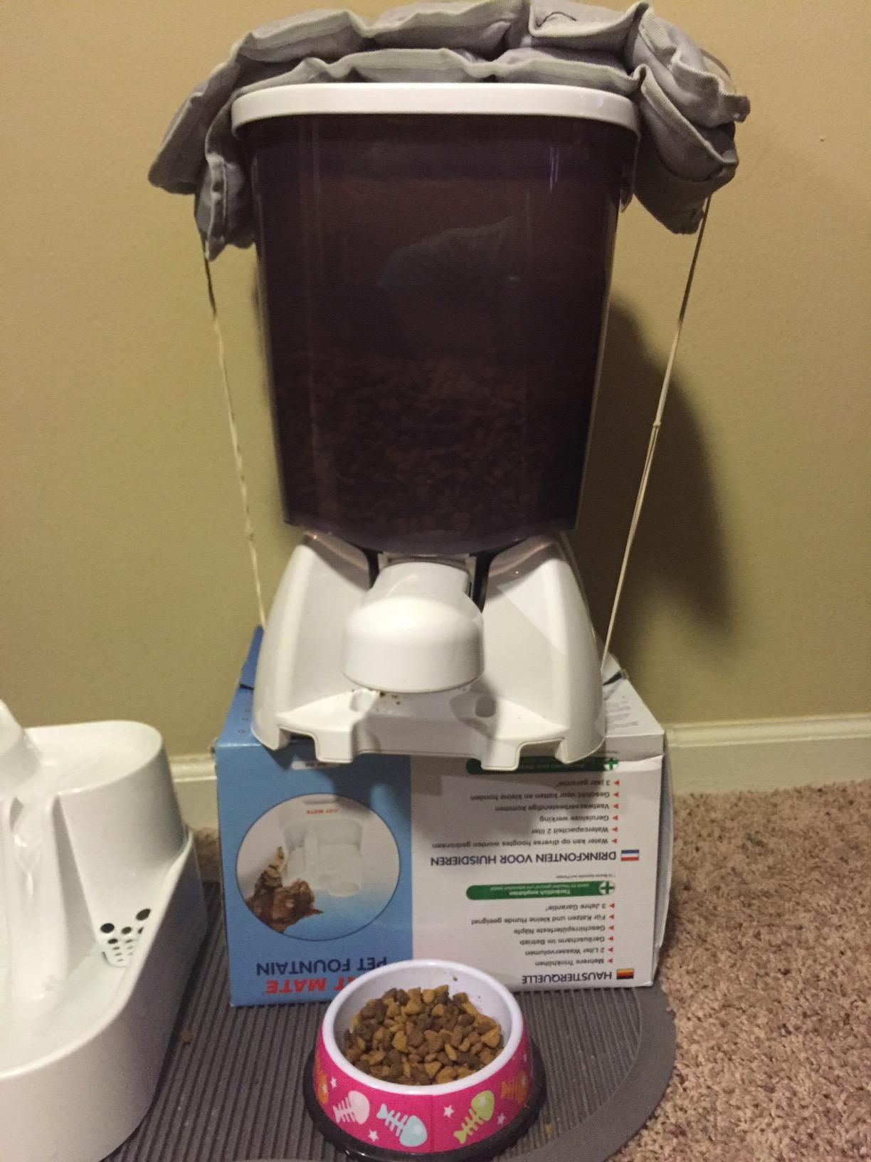 Cat Mate 5-Meal Automatic Pet Feeder, 330g per Bowl, Gray customer photo 2