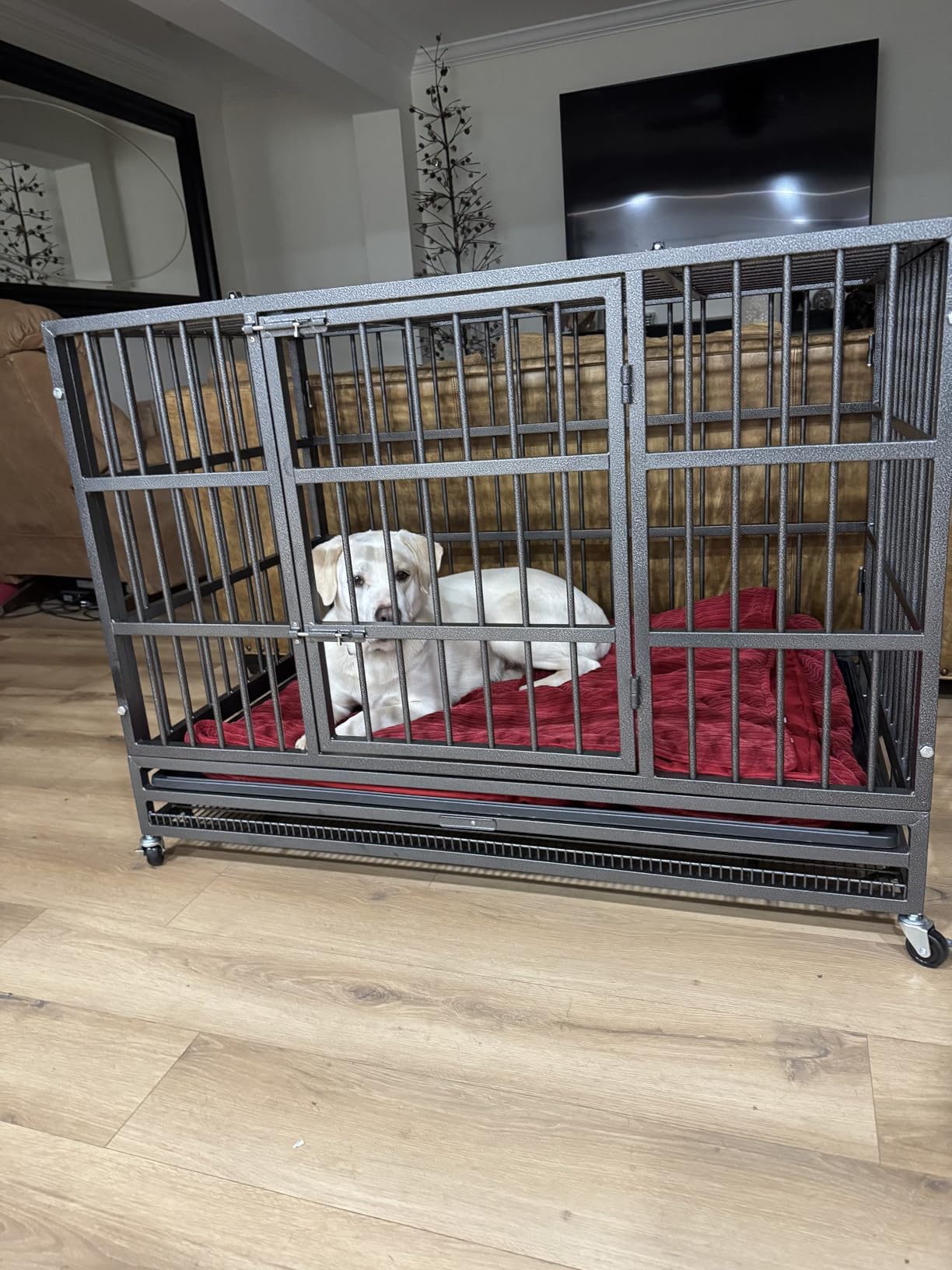 KOKOTANGS 48 Inch Heavy Duty Dog Crate Cage with Wheels, Indestructible and Escape Proof Steel Kennel Indoor for High Anxiety Dogs with Sturdy Locks, Double Door and Tray, Extra Large XL XXL, Black customer photo 1
