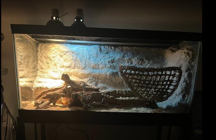 55-75 Gallon Fish Tank Stand, Aquarium & Terrarium Stand for Home Office customer photo 2