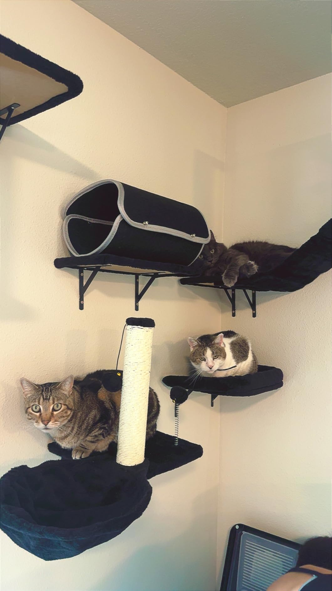 7-in-1 Cat Wall Shelves, Wall Mounted Climber Set customer photo 1