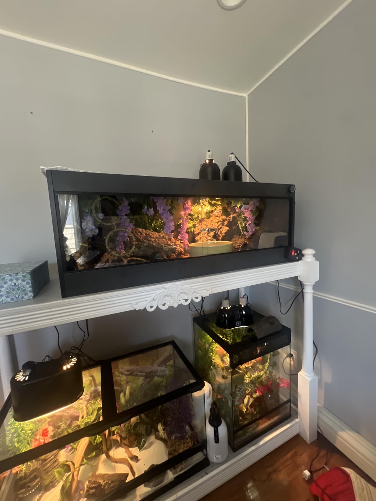 REPTI ZOO 120 Gallon PVC Reptile Tank Terrarium, 48x24x24 Reptile Terrarium for Ball Python Snake Bearded Dragon Gecko, Large Reptile Glass Tank with Sliding Door & Screen Ventilation customer photo 2
