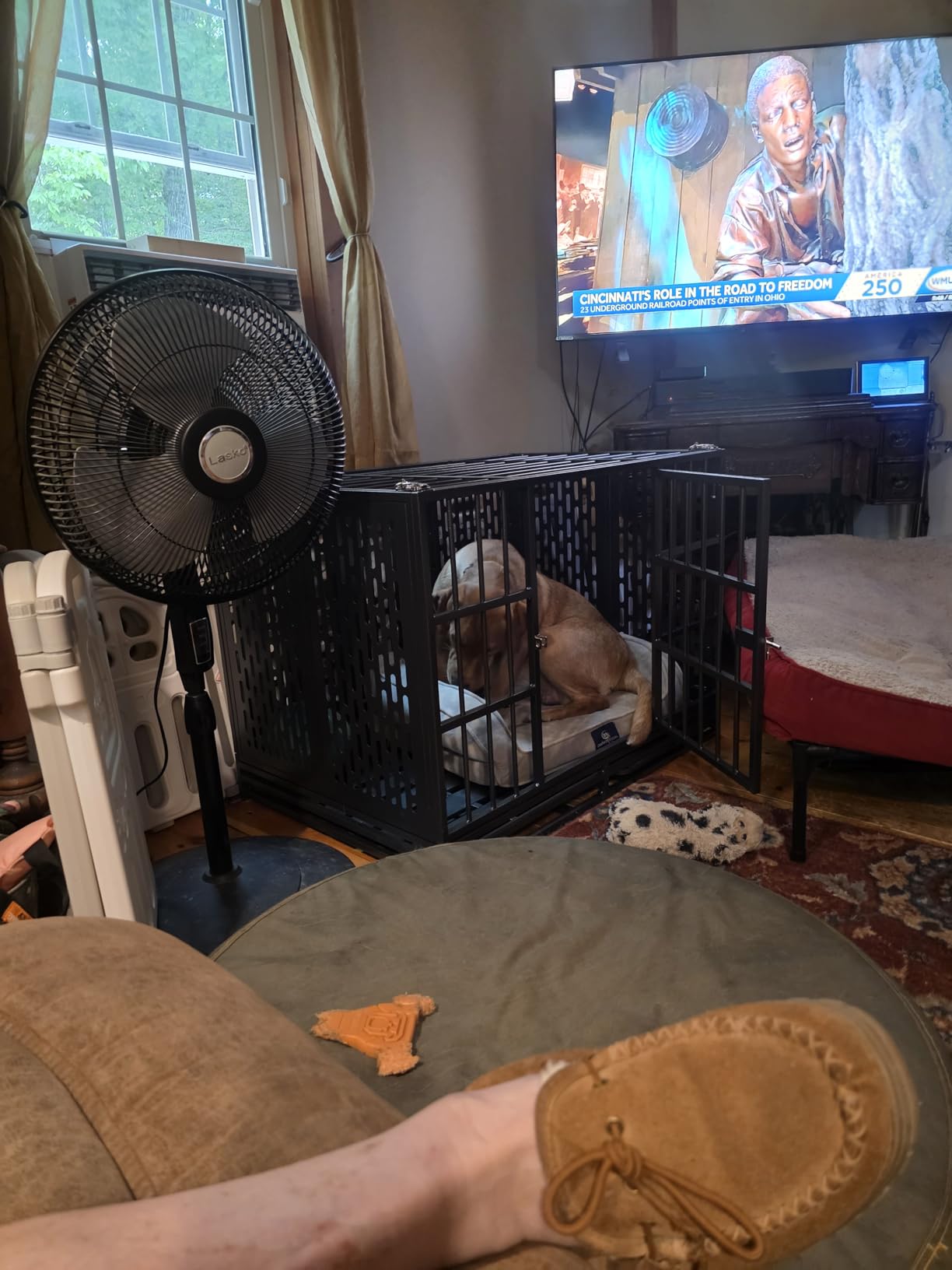 Snuowu 48 Inch Heavy Duty Dog Crate with Wheels, Metal Big Dog Cage for Large and Medium Dogs, Extra Large XL XXL Indestructible Dog Crate with Removable Tray. customer photo 2