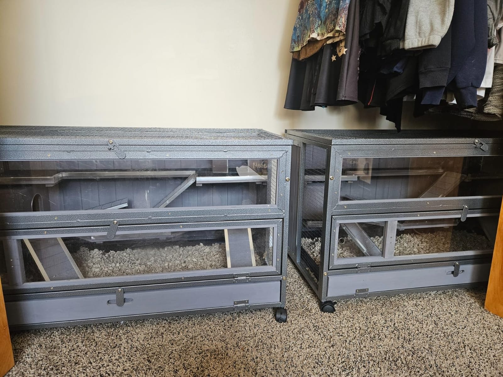 Aivituvin Chew-Proof Metal Guinea Pig Cages with Wheels for 2-4 Guinea Pigs customer photo 1