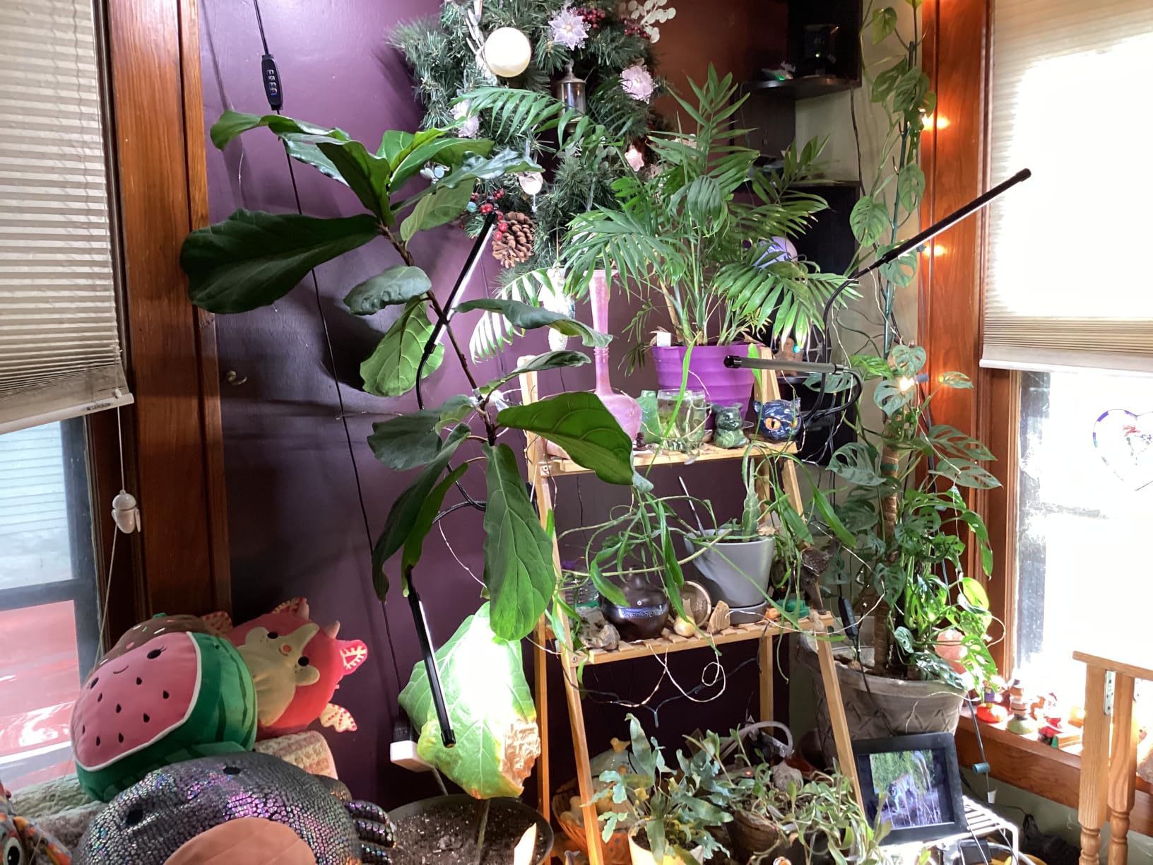 Grow Lights for Indoor Plants, Upgrade 84 LEDs Clip Plant Lights, Full Spectrum LED Plant Growing Lamps with Flexible Gooseneck, 3/9/12H Timer, 3 Spectral Modes, 10 Dimmable Levels (2 Head 1 Pack) customer photo 2