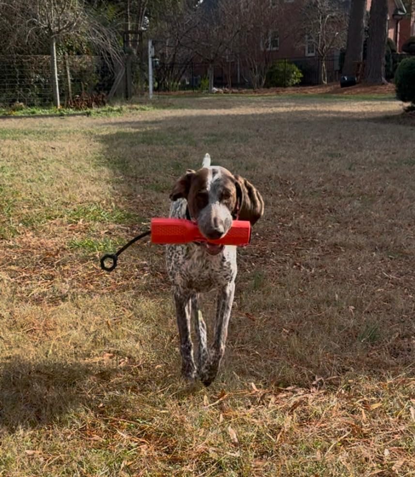 GUNNER Dog Training Bumper, Orange Retriever Dummy with Adjustable Rope | Floating DuraTrieve Retriever Dummy, Adjustable Rope, Scent Cavity, Vented and Tapered Design customer photo 1