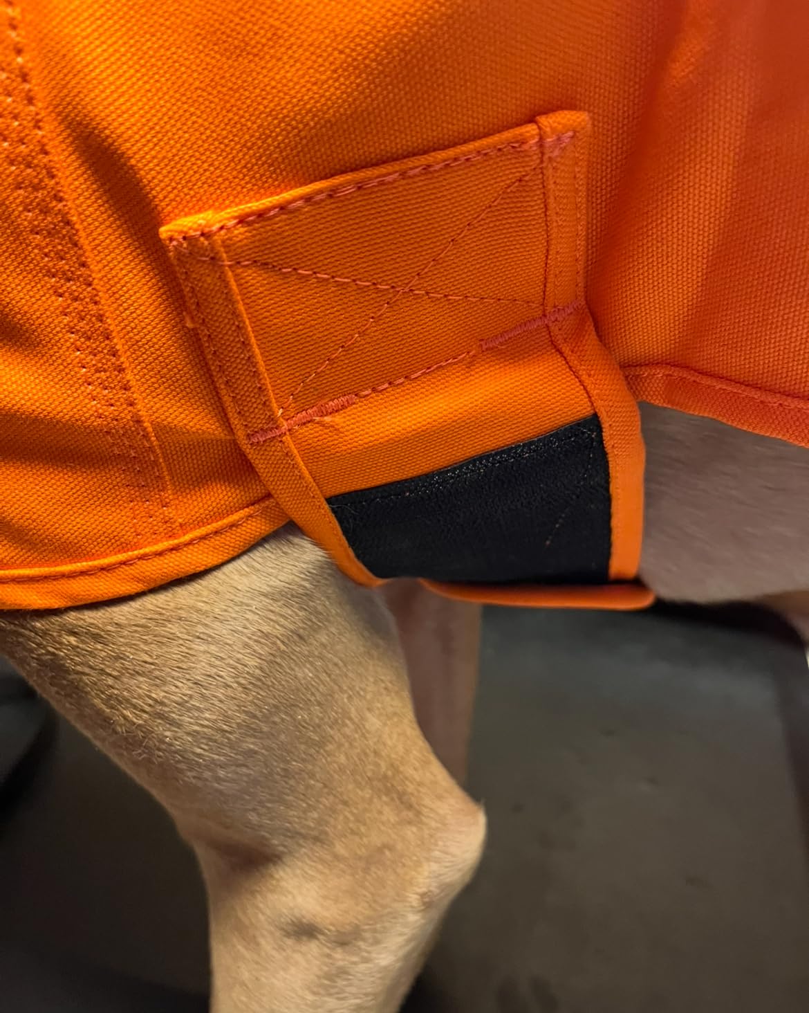 Carhartt Firm Duck Insulated Dog Chore Coat Hunter Orange/Brass XL customer photo 2