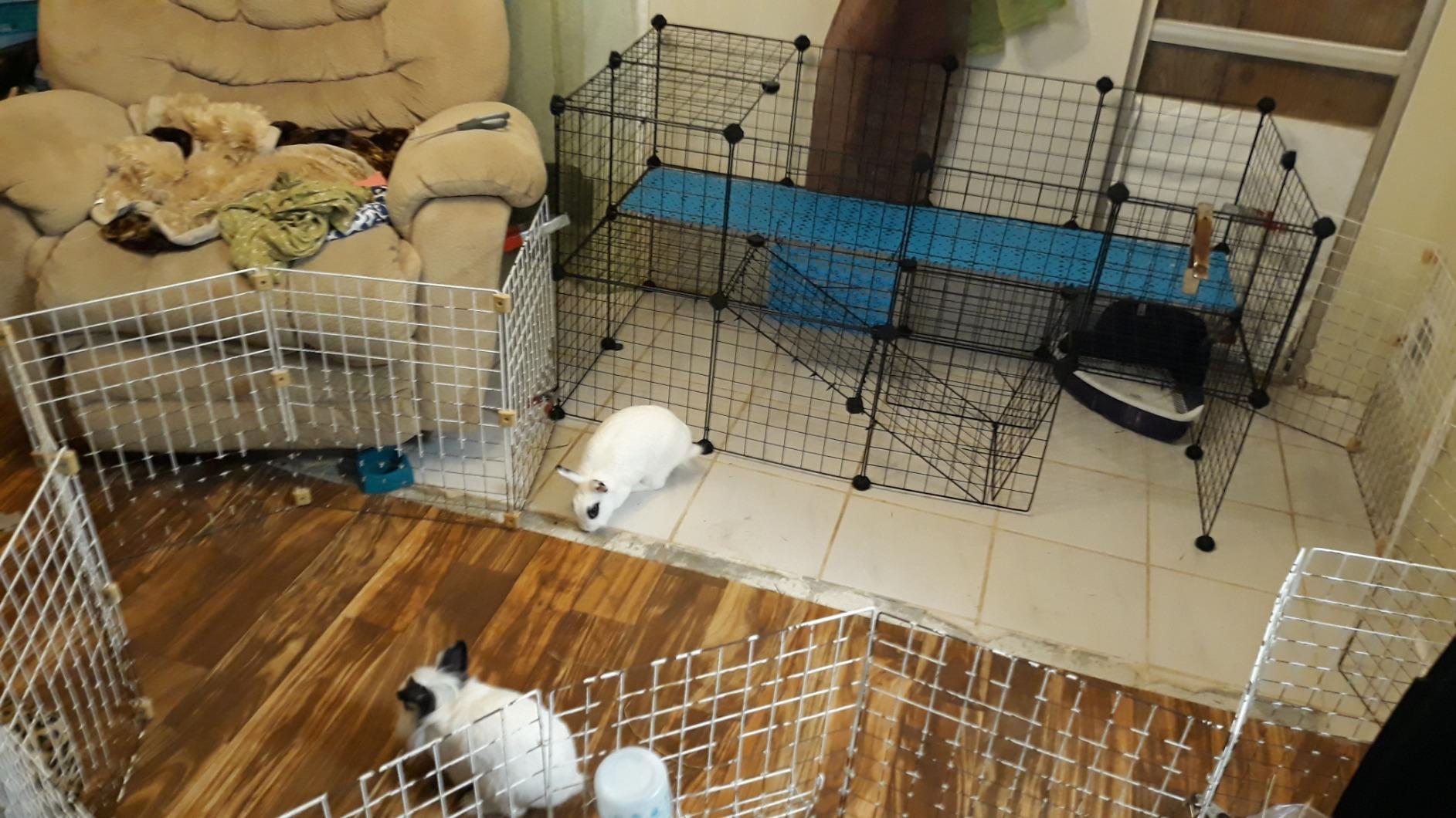SONGMICS Pet Playpen, 2-Tier Small Animal Playpen customer photo 2