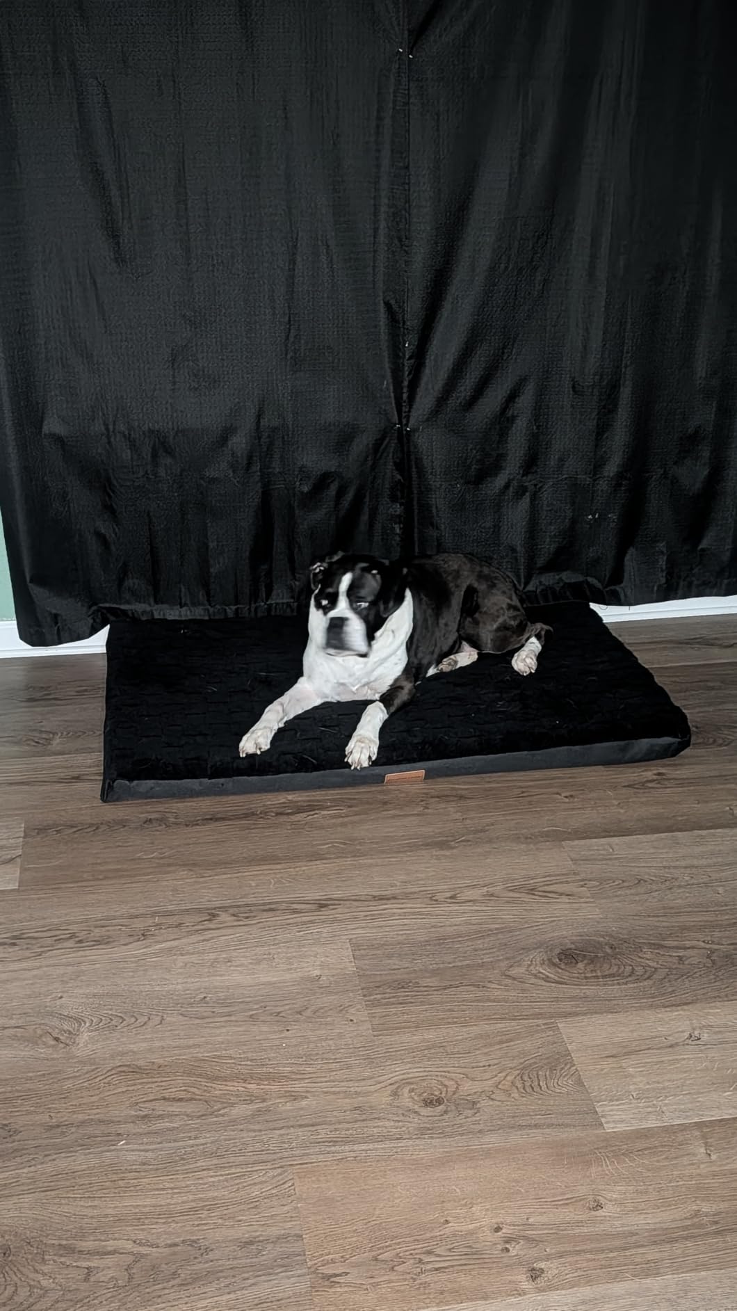 Patas Lague Orthopedic Large Dog Bed Washable Pet Crate Mat 36''X24'' Black customer photo 2
