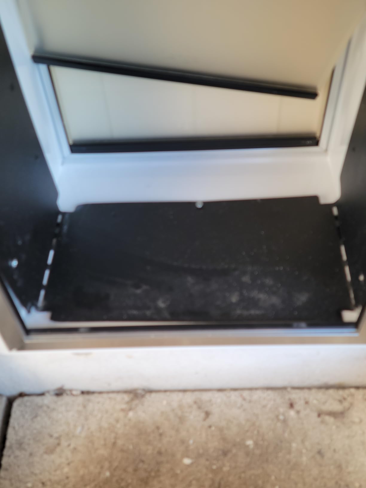 X-Large Dog Door for Wall, Weatherproof Steel Pet Entry Door customer photo 2
