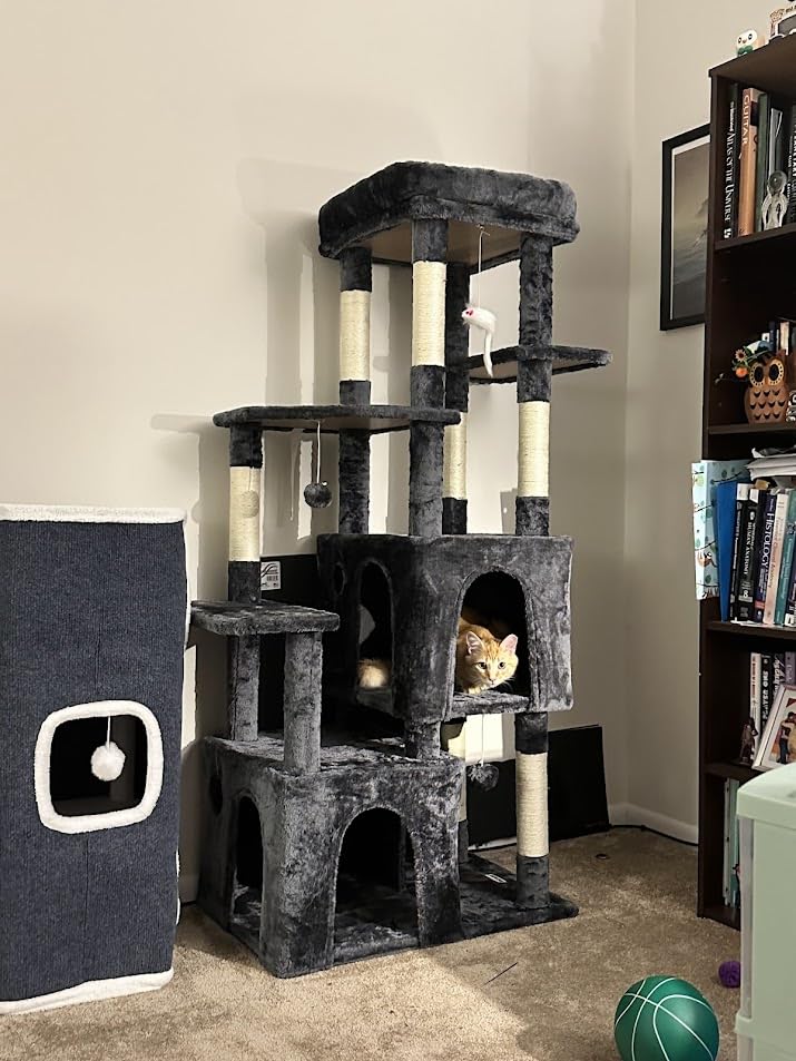Globlazer Heavy Duty Cat Trees for Big Cats Maine Coon, F61, Light Grey customer photo 2