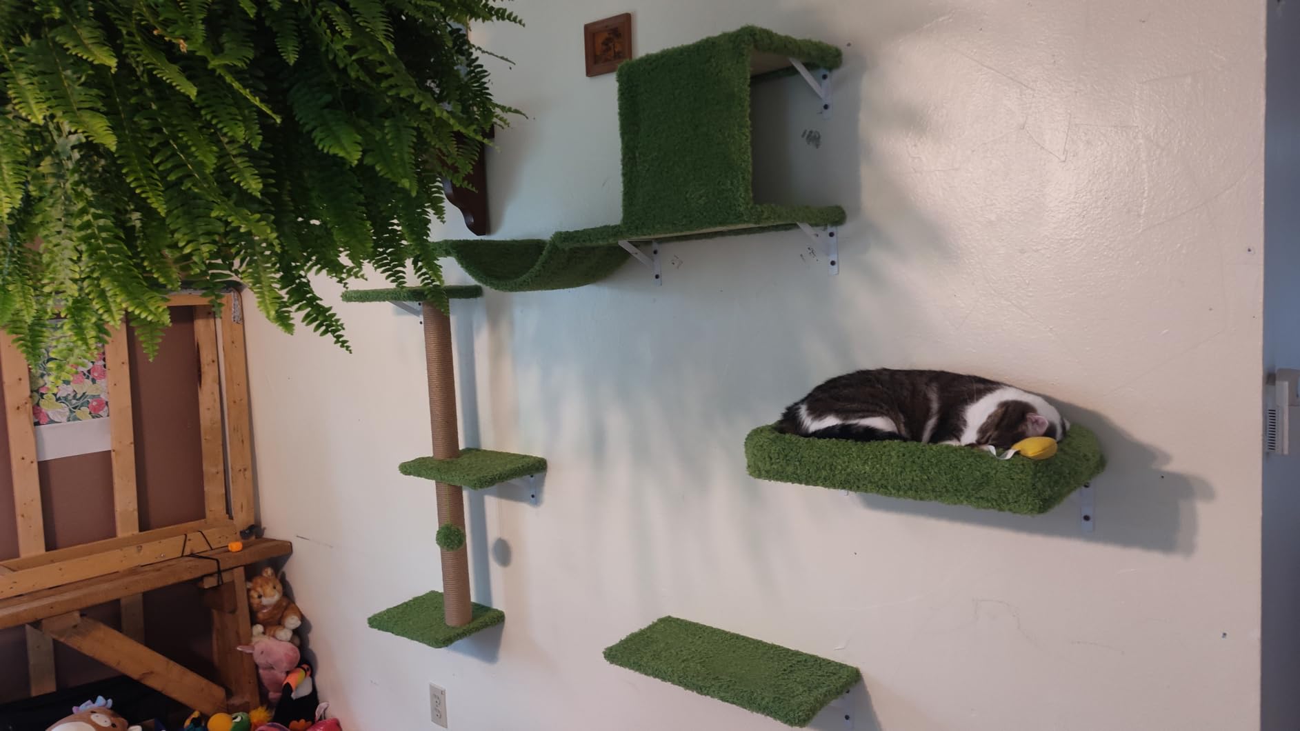 FUKUMARU Cat Wall Shelves, 4 in 1 Set, Grey customer photo 1