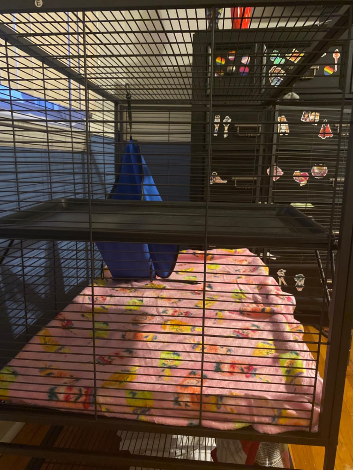 HABUTWAY 40''H Large Metal Rolling Ferrets Cage, 2-Tiers Small Animal Cages, Cage for Rats/Chinchillas, 0.5'' Bar Spacing for Ferret,Small Animal Cage w/Removable Ramp & Platform customer photo 1